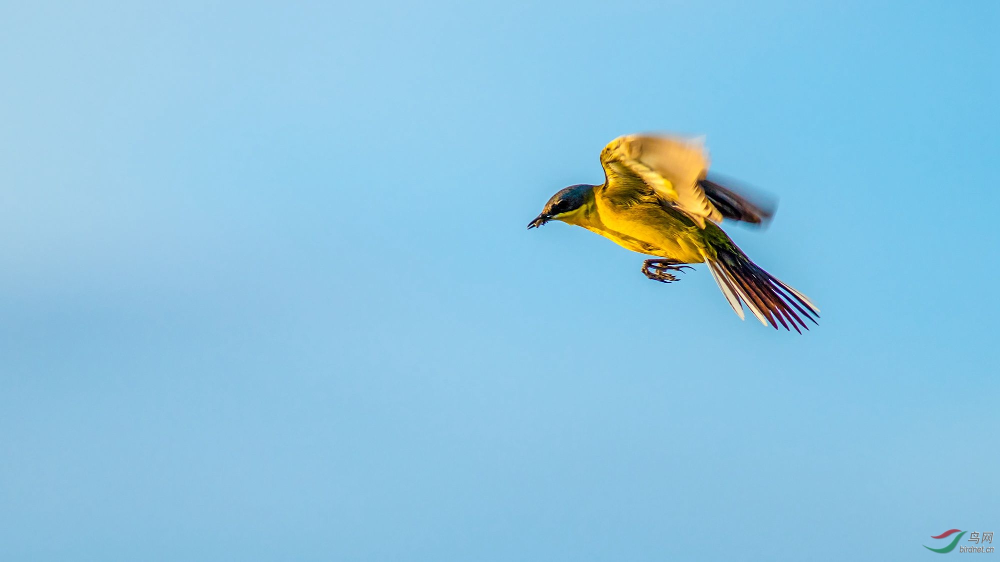 4J2A7626_2018.6.20-�����n�_.jpg
