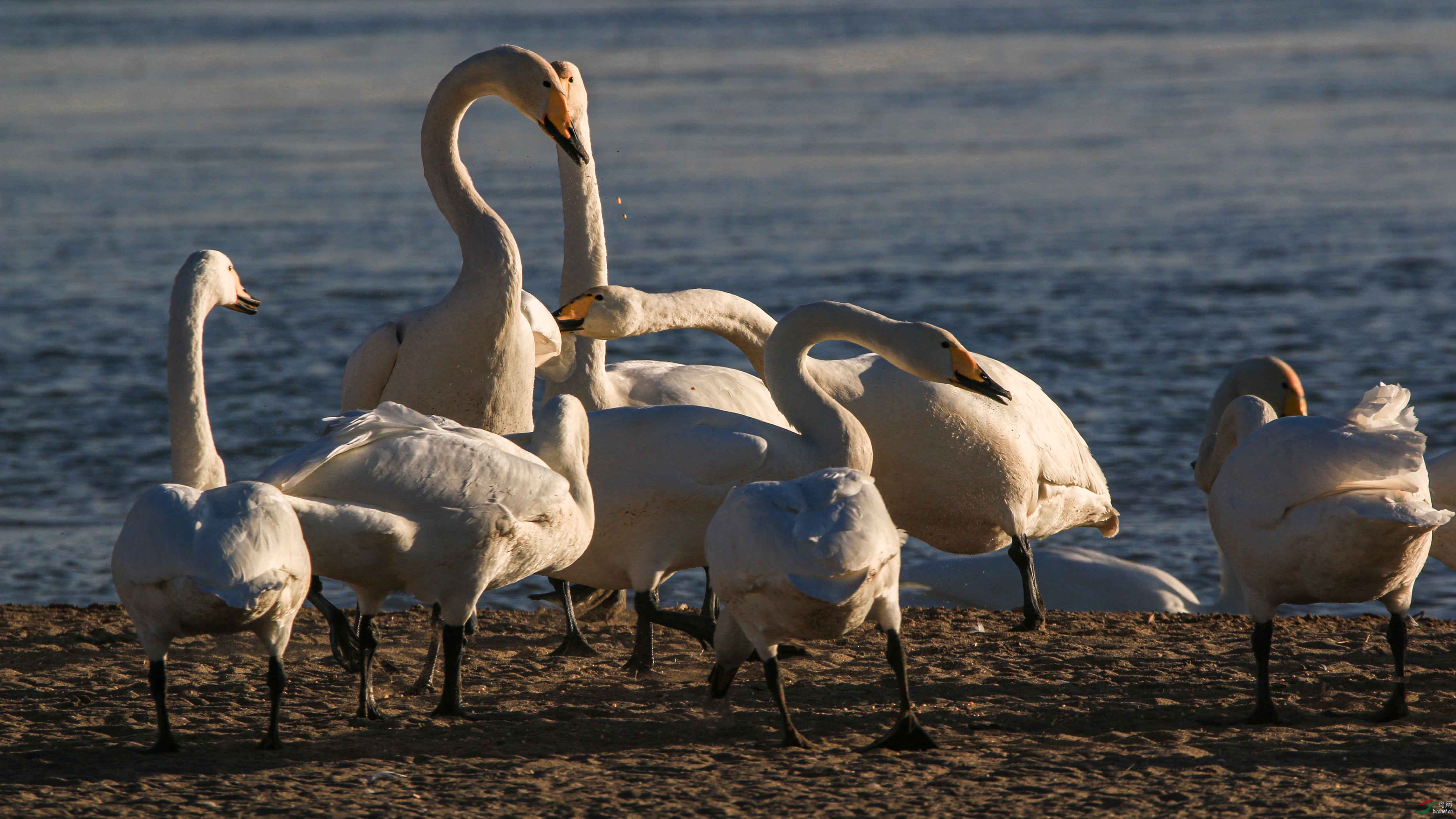 ��Ҵ�и�̨�ع���ʪ�ر�����