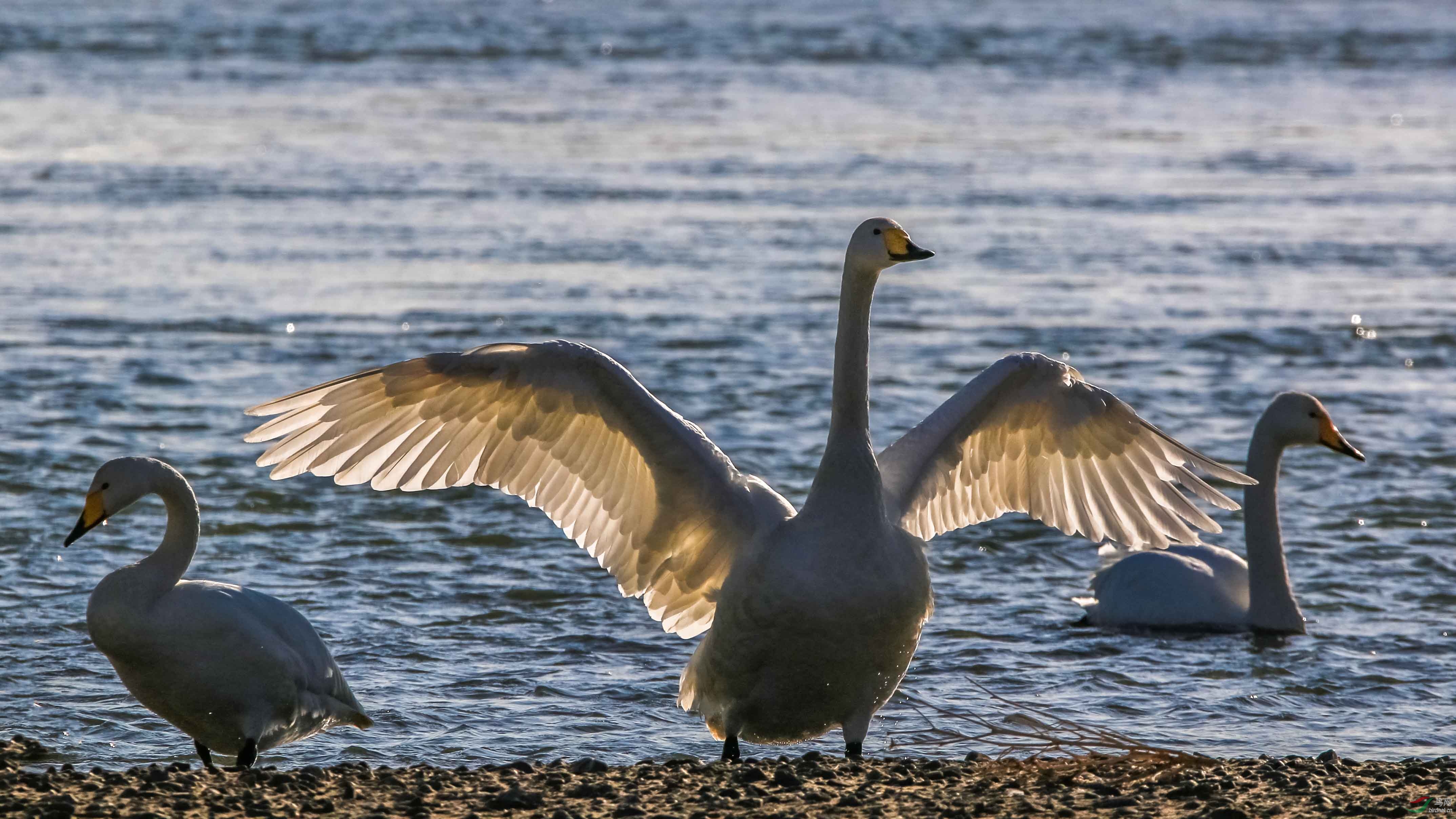 ��Ҵ�и�̨�ع���ʪ�ر�����