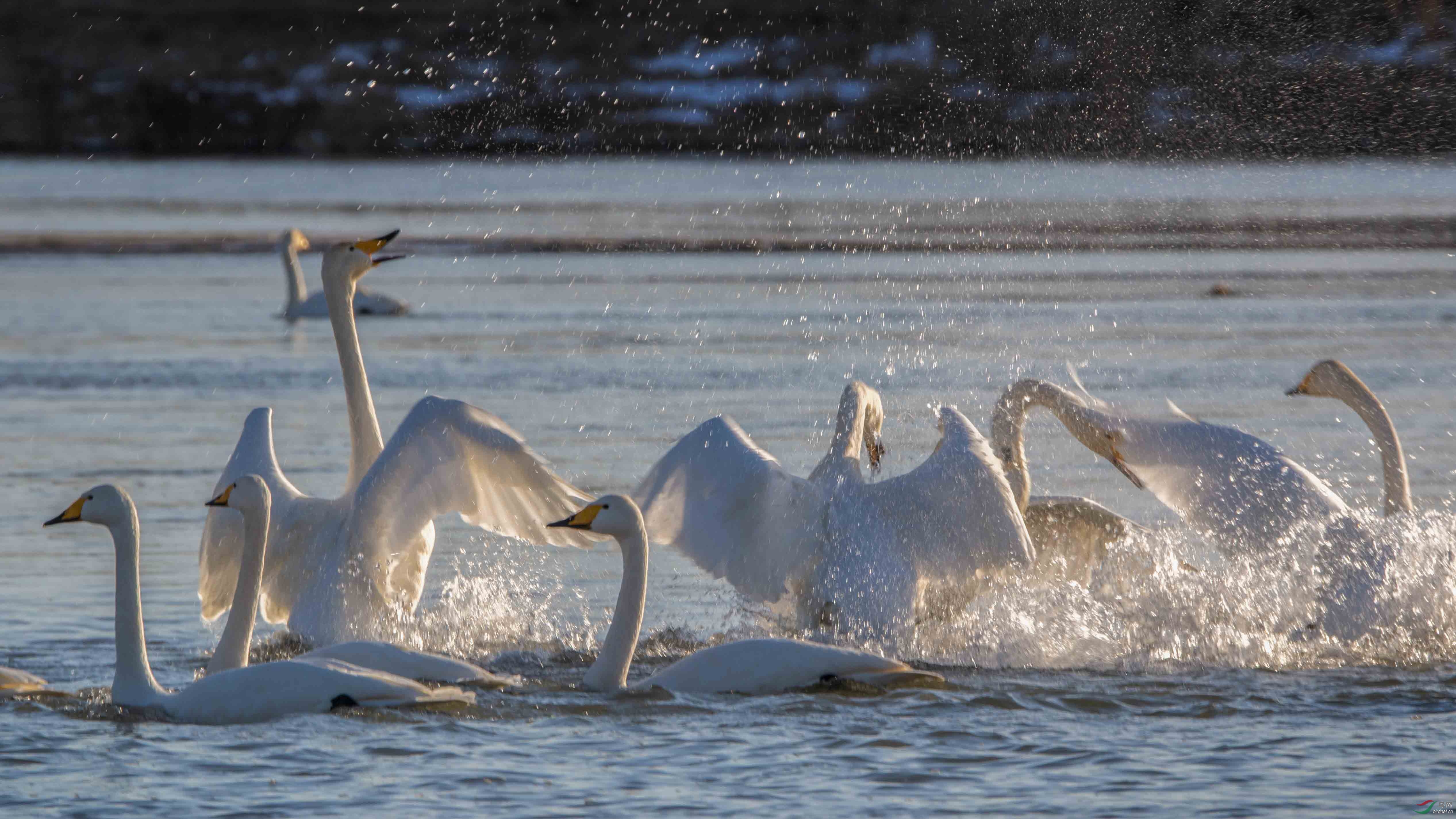 ��Ҵ�и�̨�ع���ʪ�ر�����