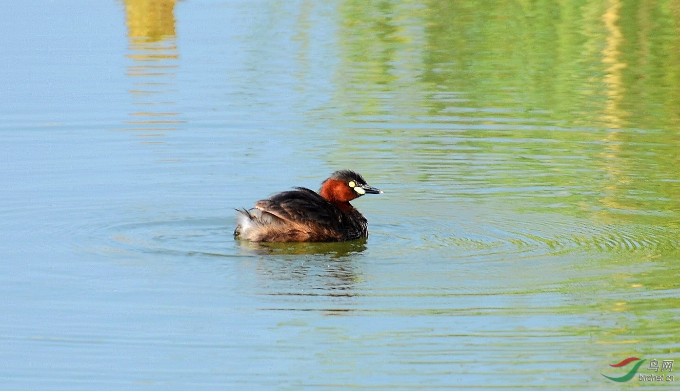 DSC_3975.JPG