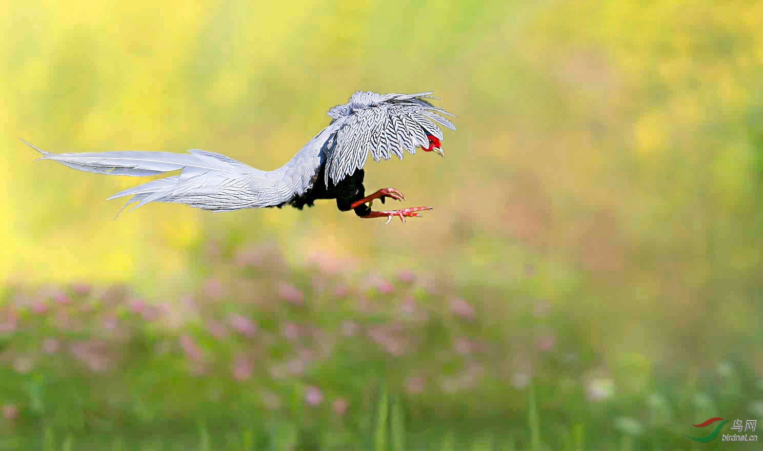 110034b5j7js676oi6lsiz - ����.jpg