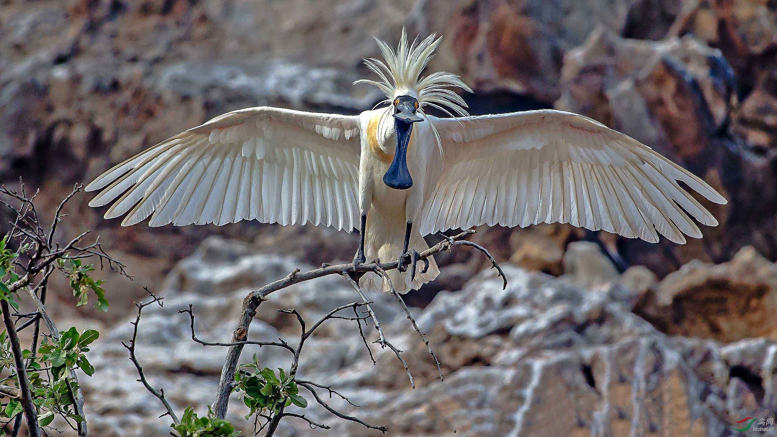 w20190524榛戣劯鐞甸弓锛埚舰浜哄潹锛埙23x0725鍓 湰tatcc2560.jpg