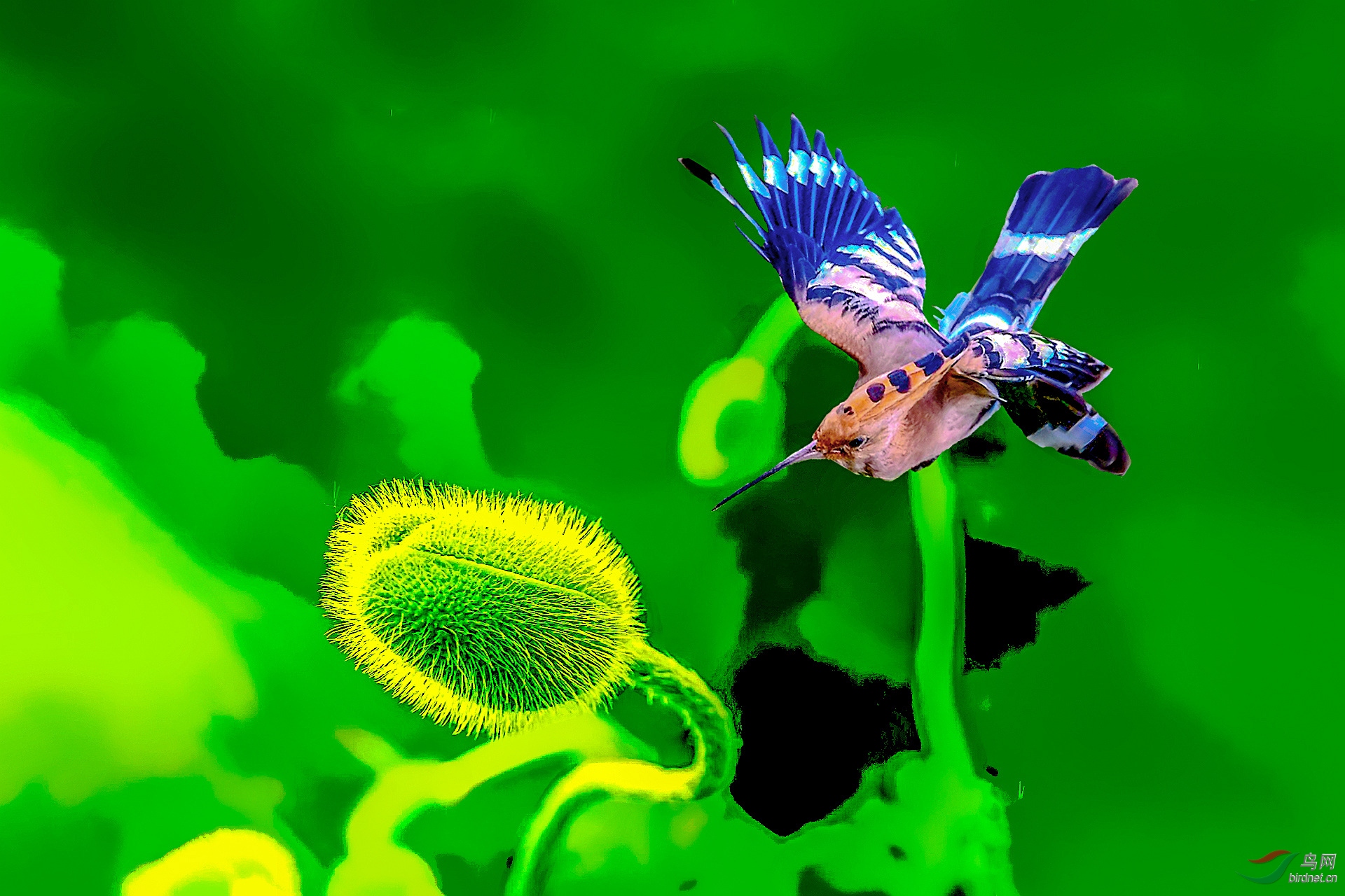 IMG_1664 - ����_����_����_����_���� (4)_����_����_����.jpg