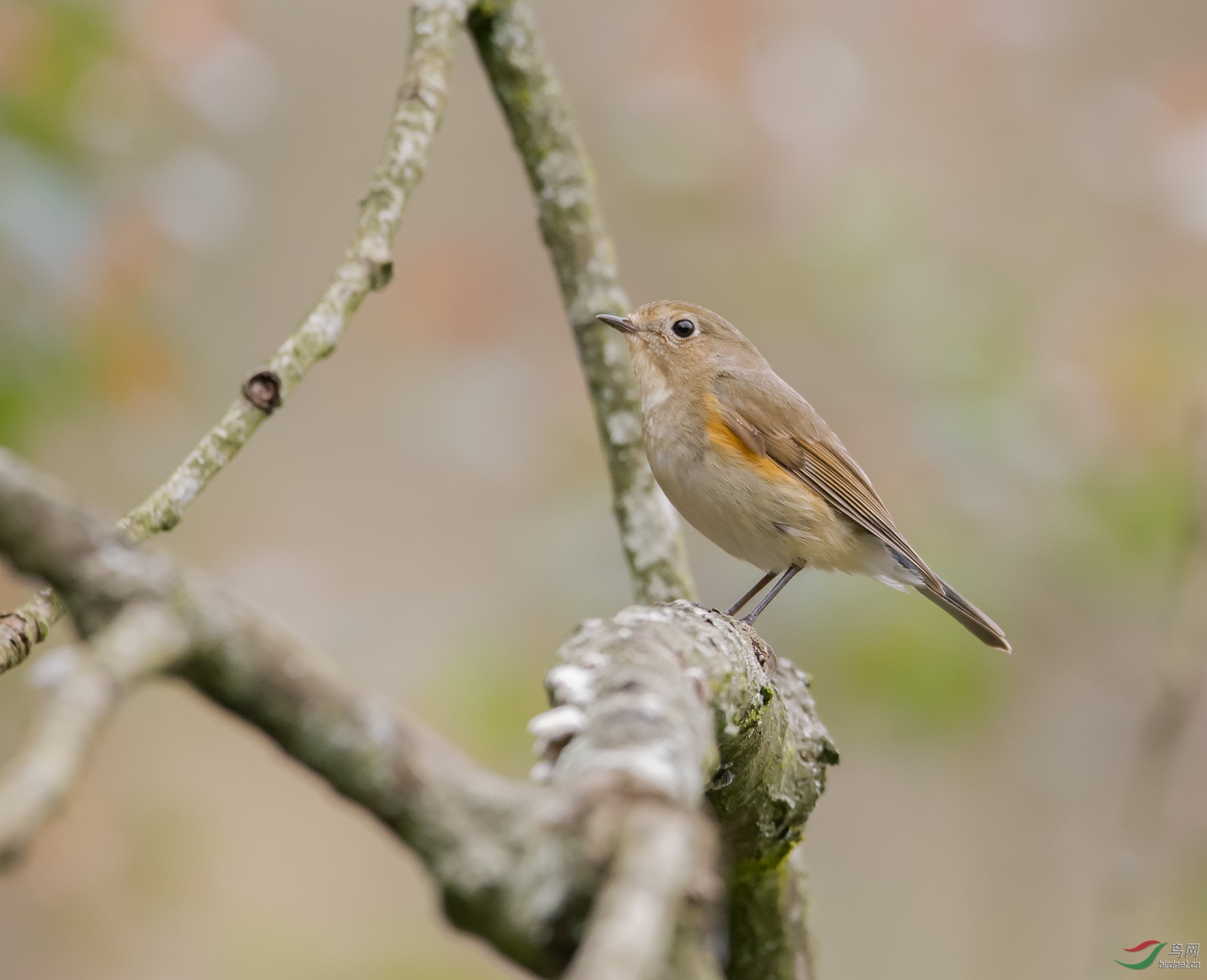 DSC_3920-1.jpg