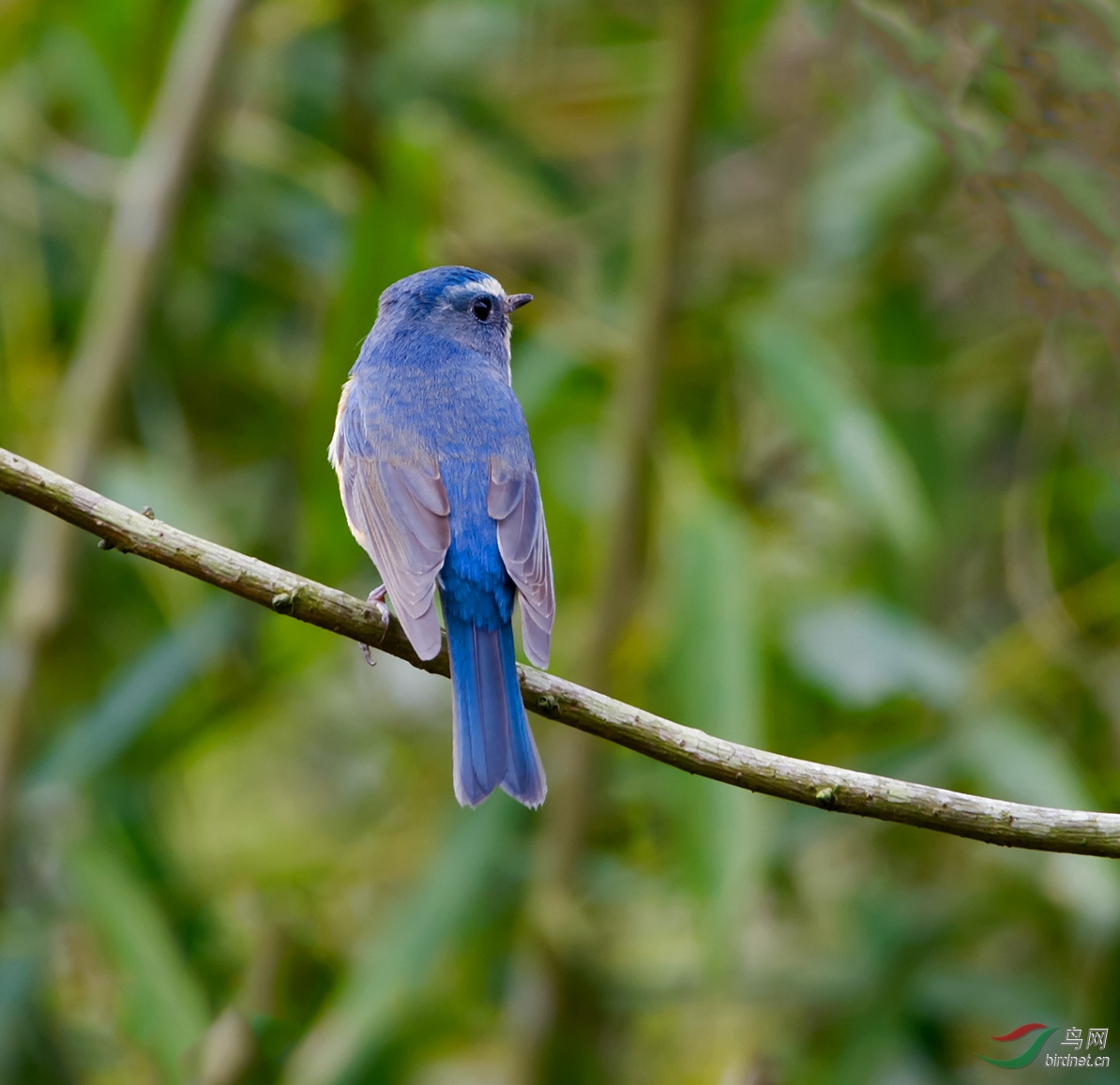DSC_3991.jpg