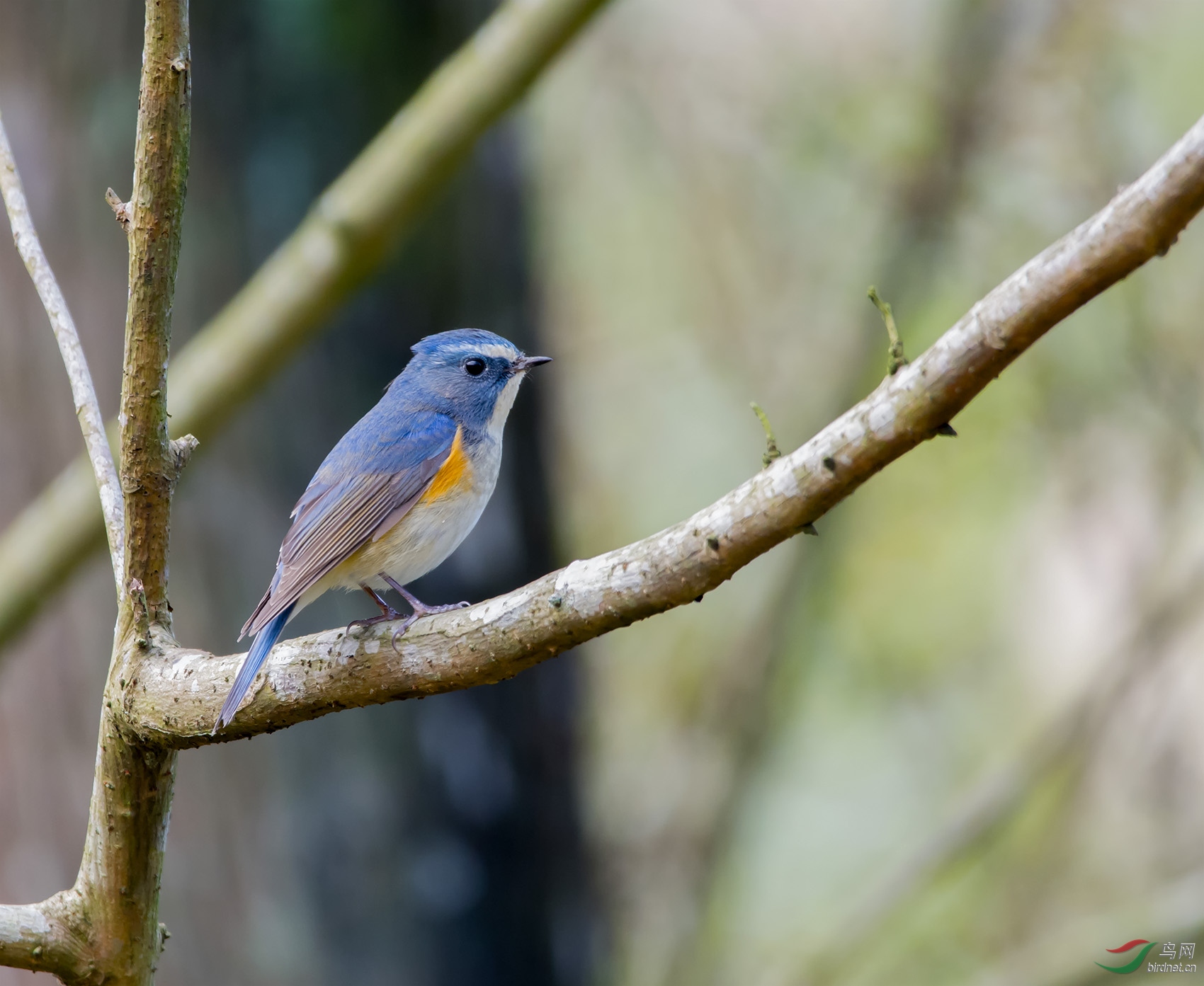 DSC_4075.jpg