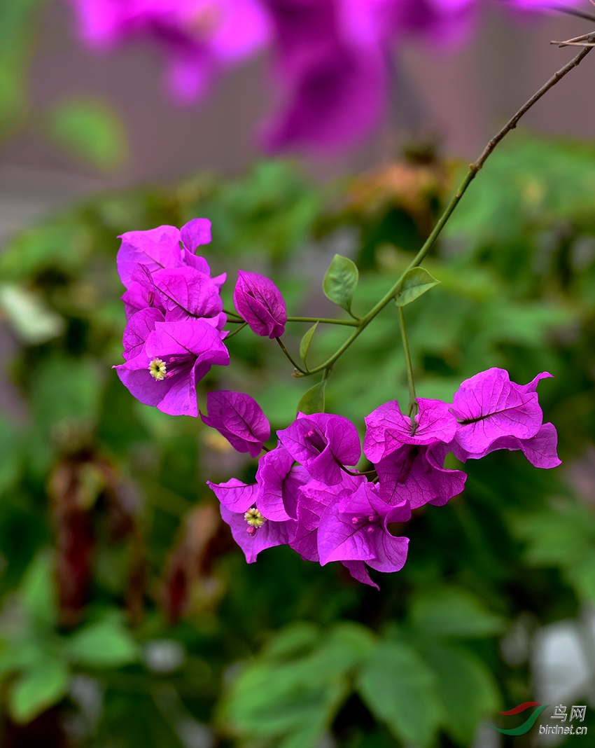 DSC_4541 ����.jpg