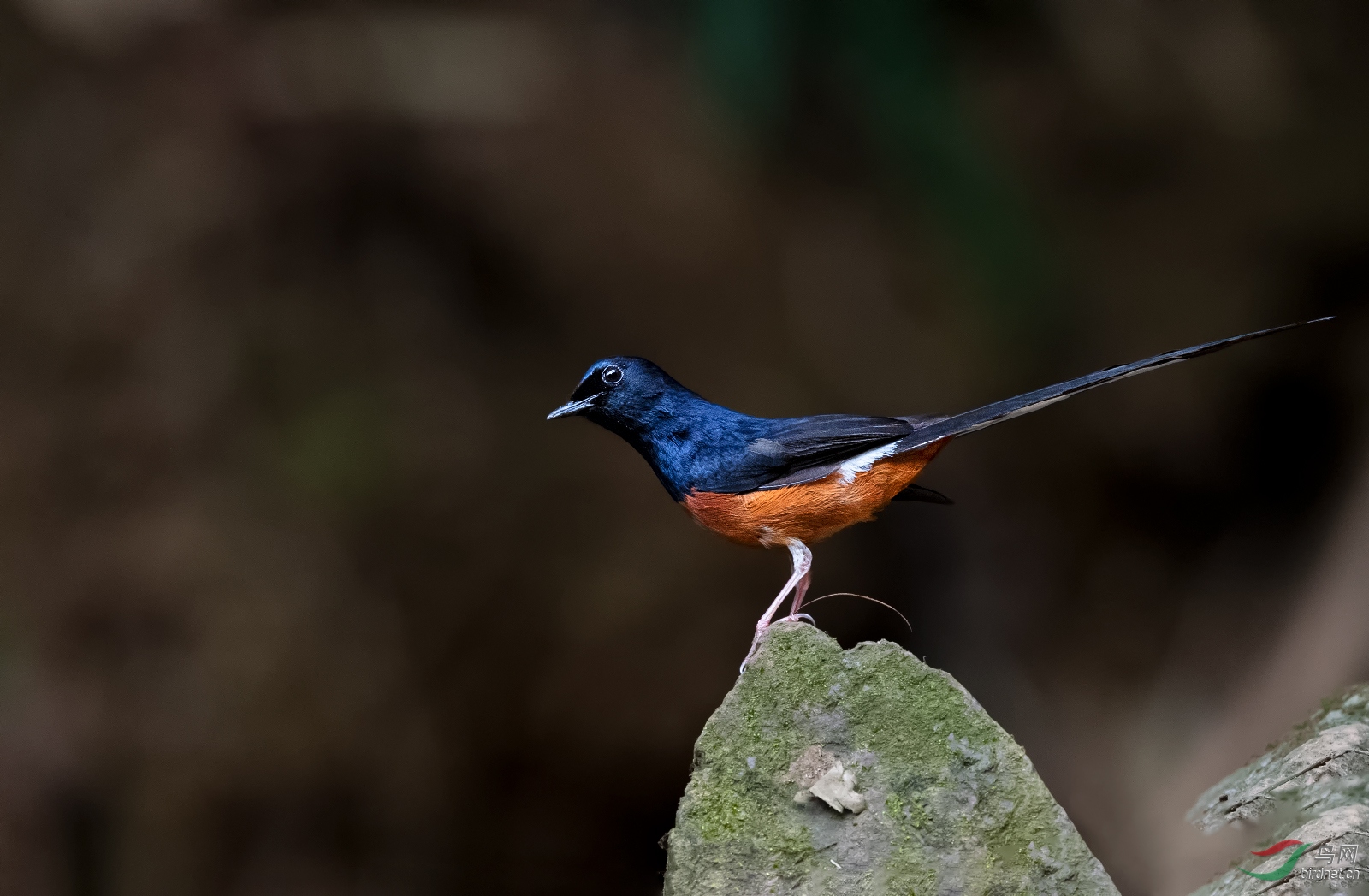 DSC_8568.jpg