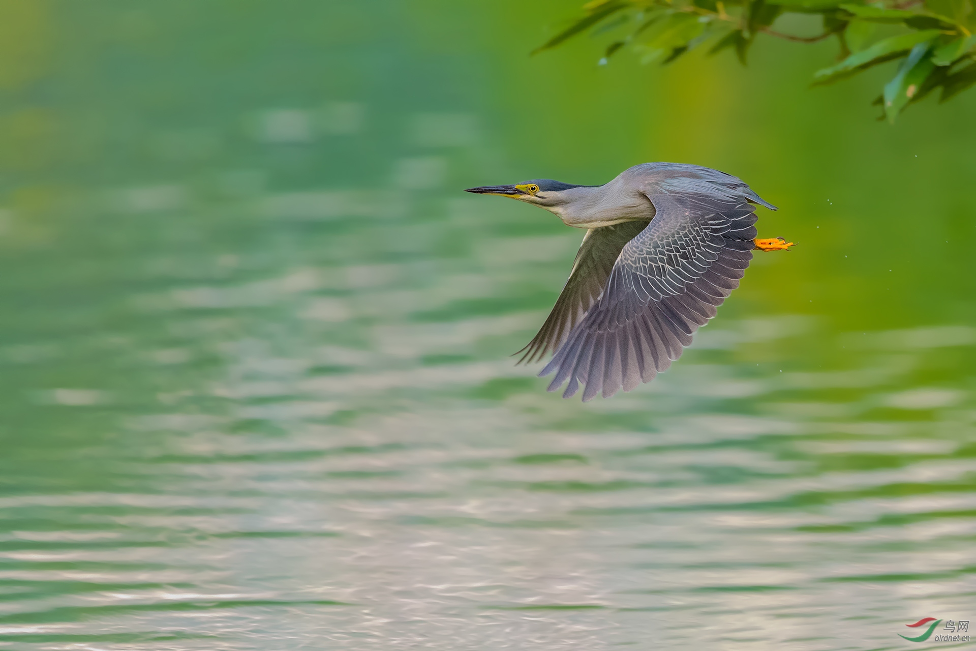 _DSC7112-1.jpg