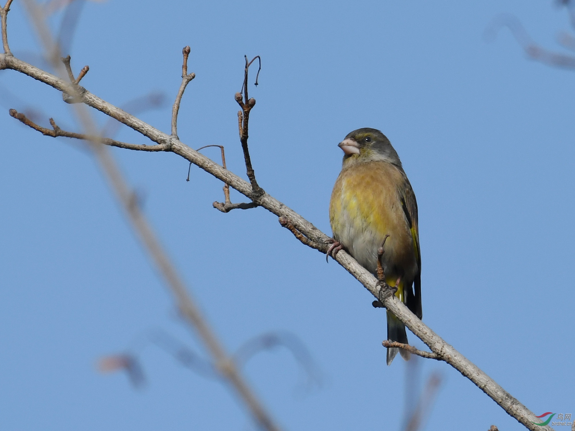 ������Ӱ 009����.jpg