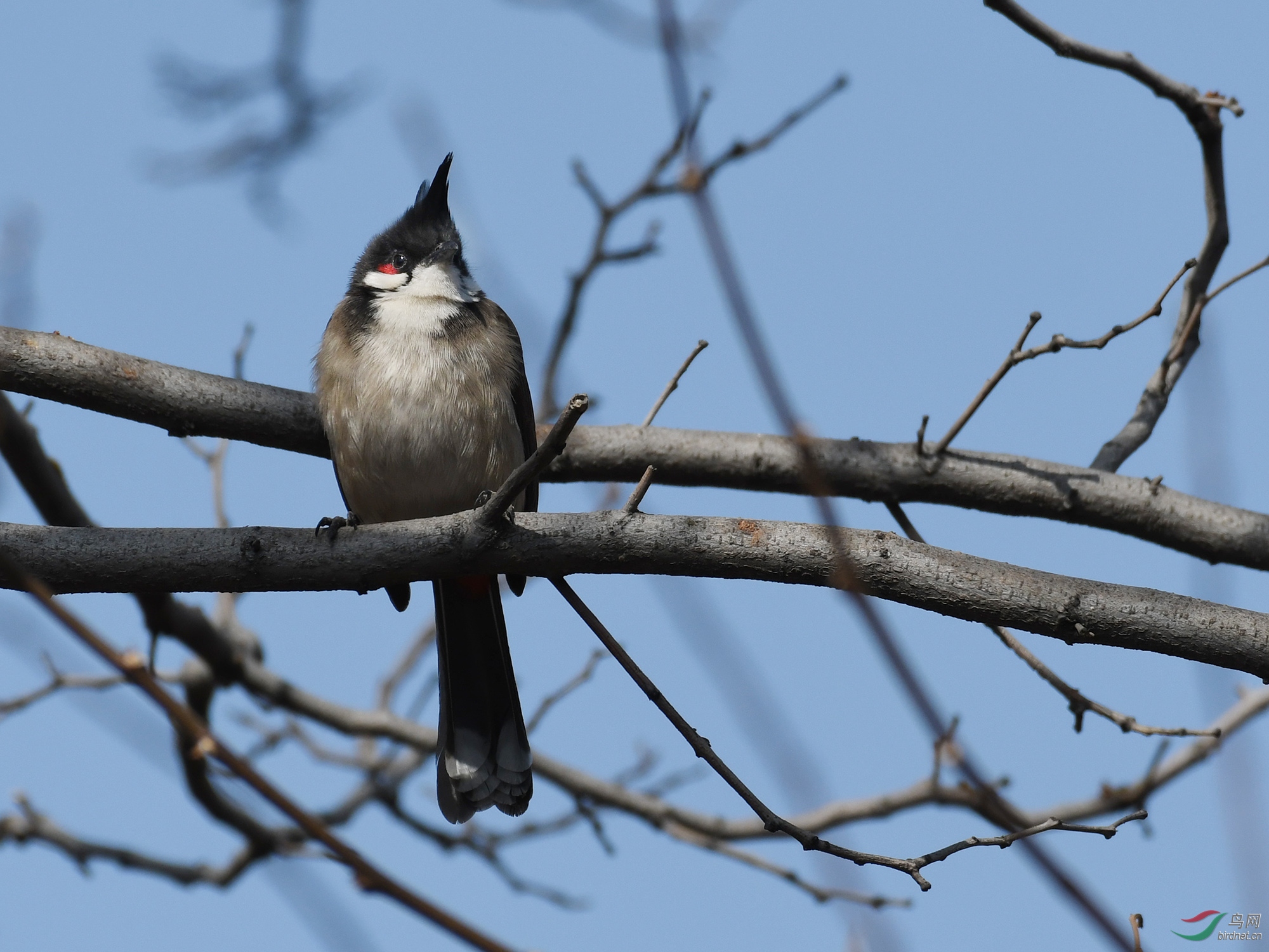 ������Ӱ 653����.jpg