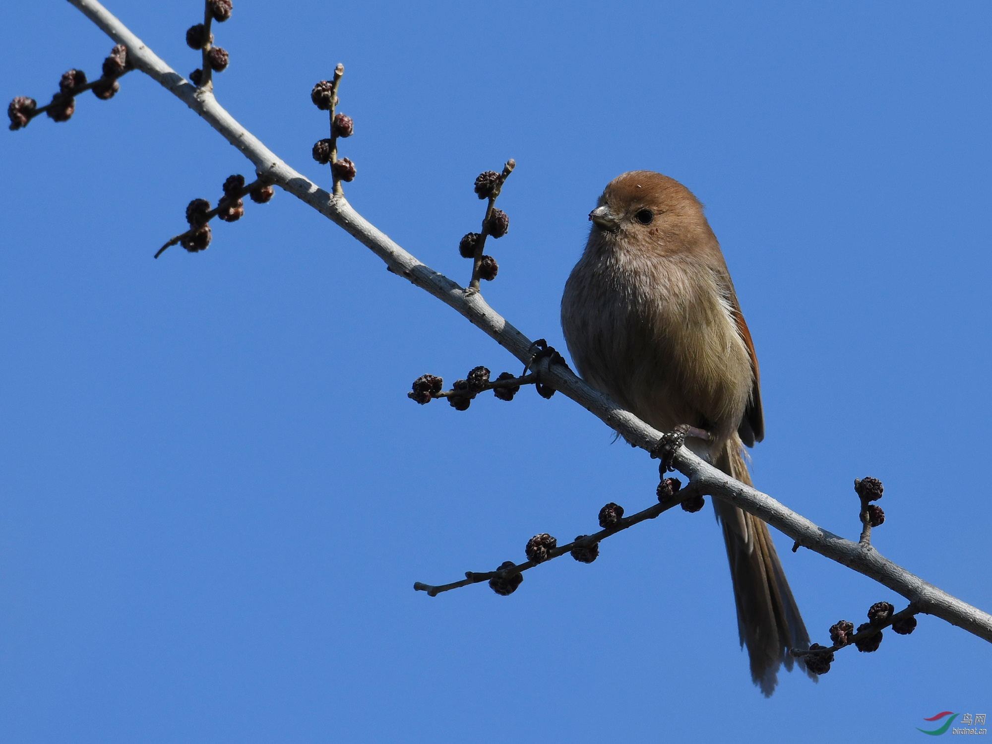 ������Ӱ 1154����.jpg