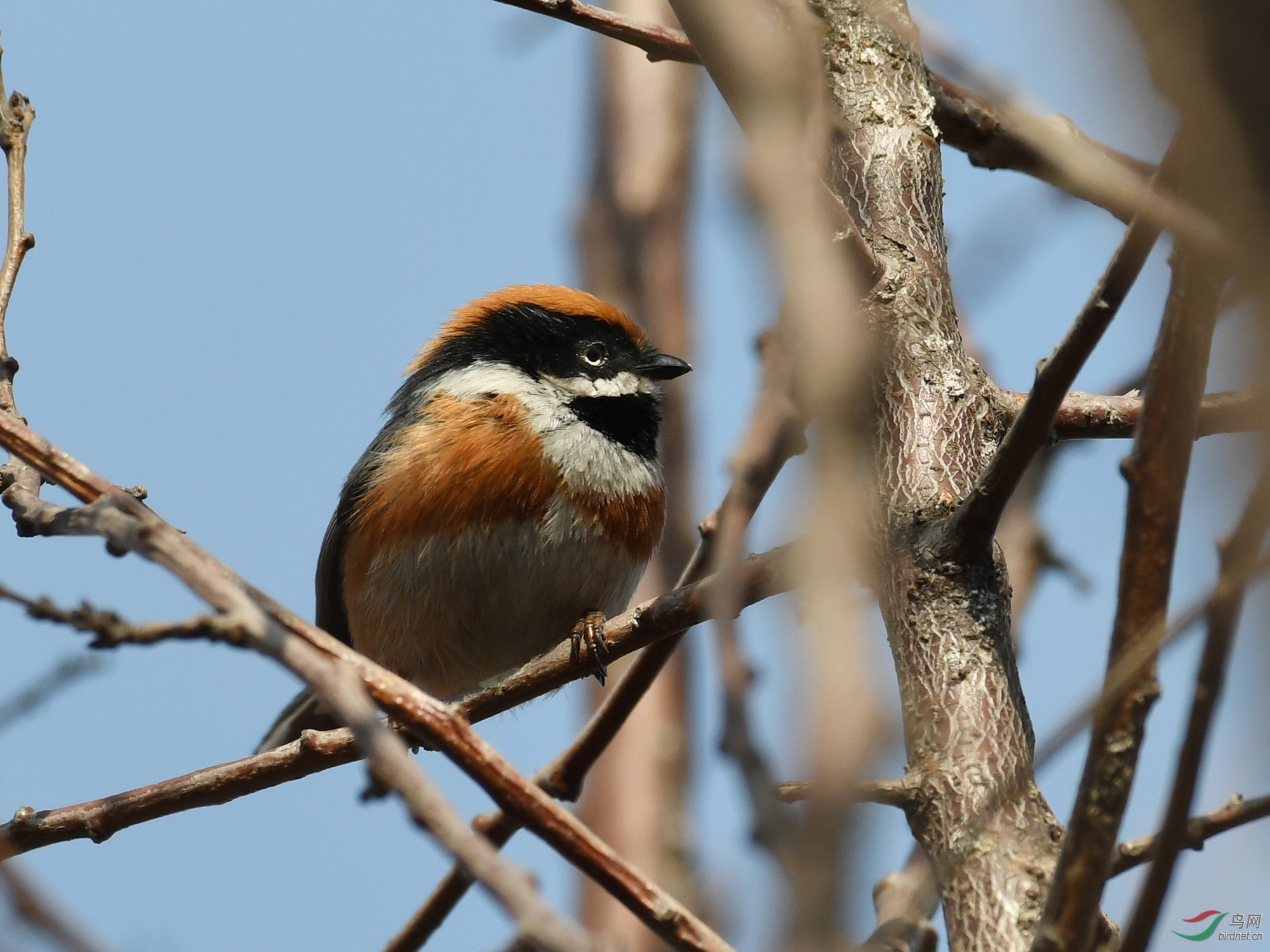 ������Ӱ 1031����.jpg