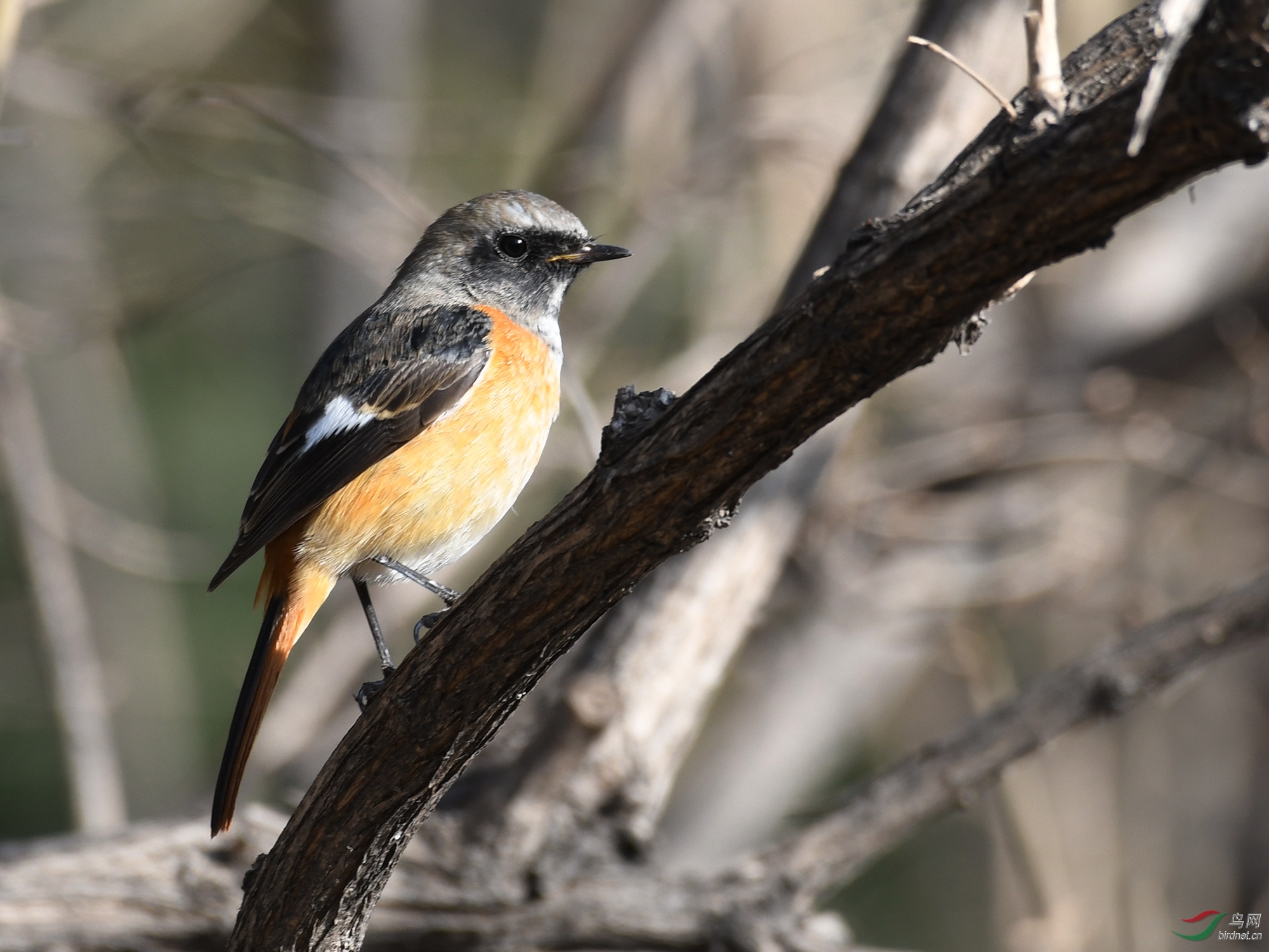 ������Ӱ 1589����.jpg