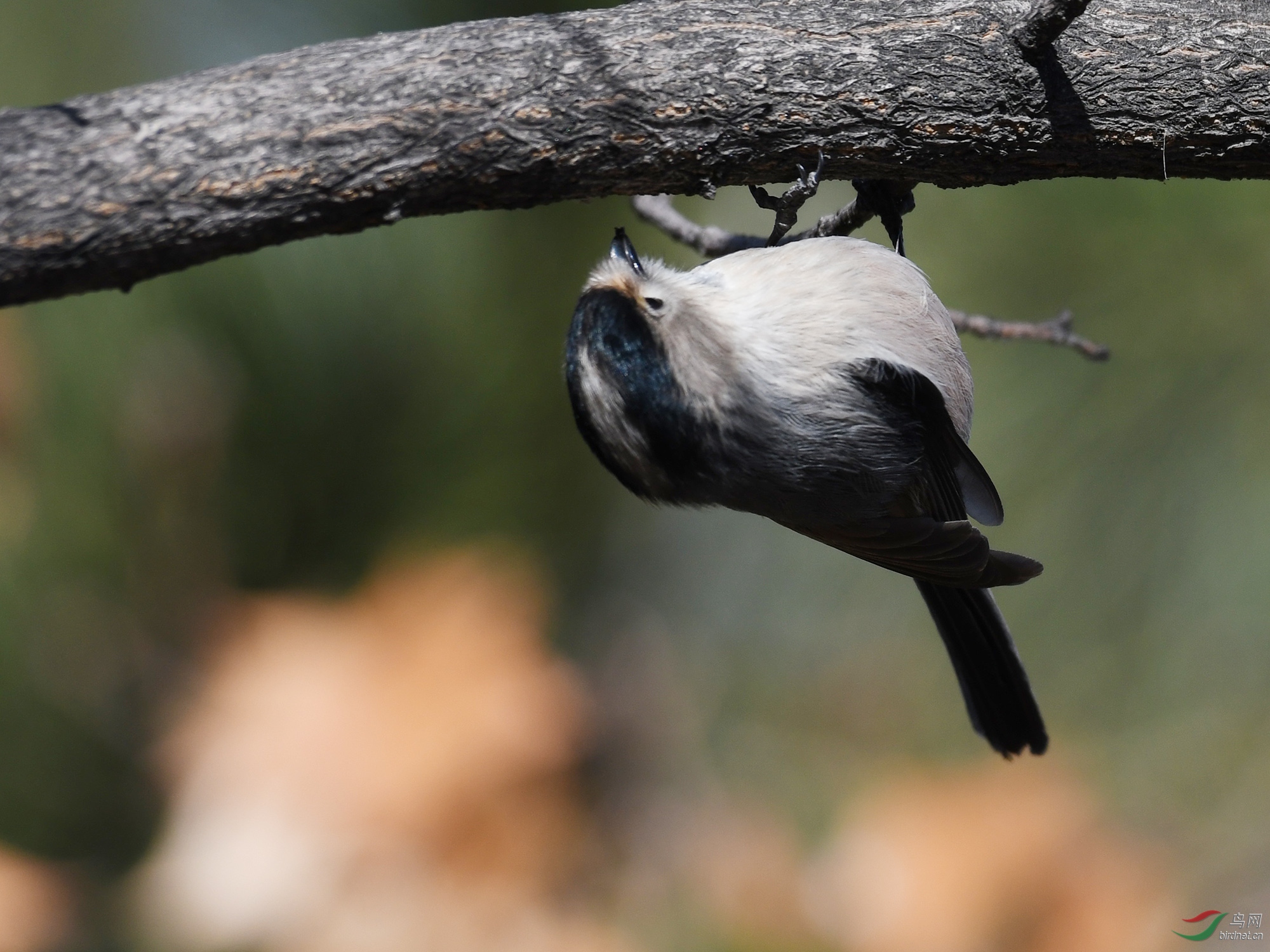 ������Ӱ 1359����.jpg