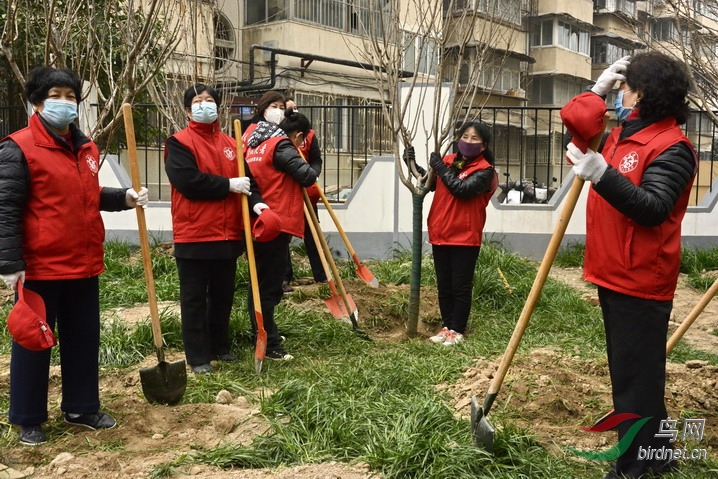 4 - ����.jpg