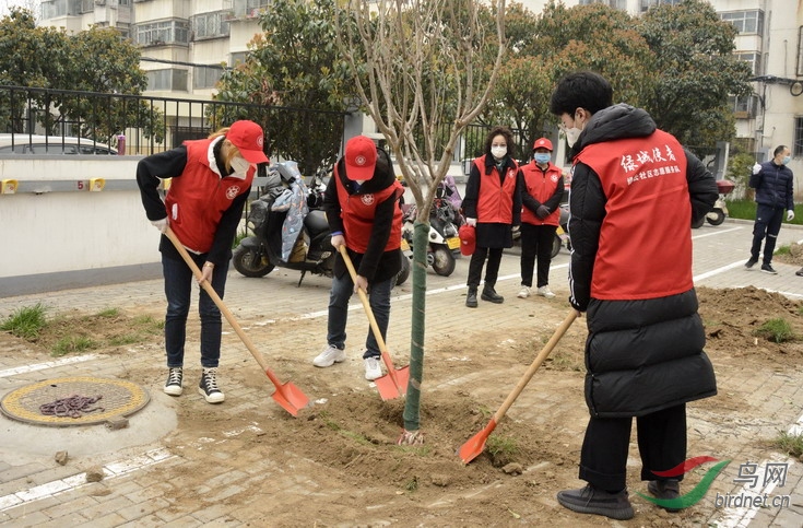 7 - ����.jpg