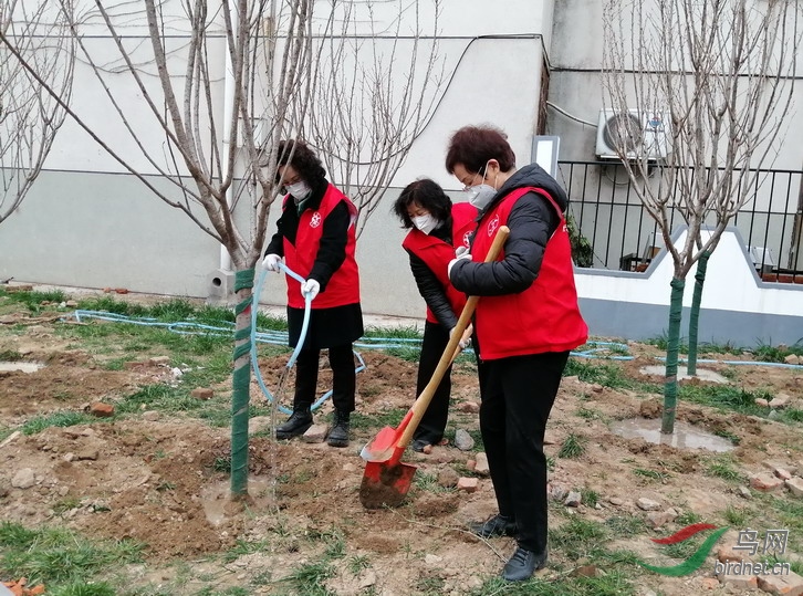 8 - ����.jpg