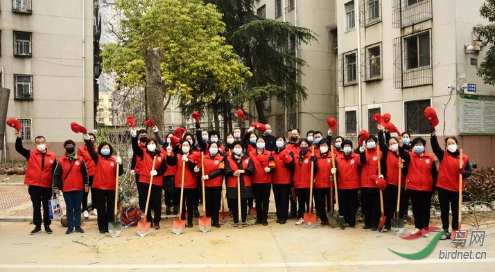 9 - ����.jpg