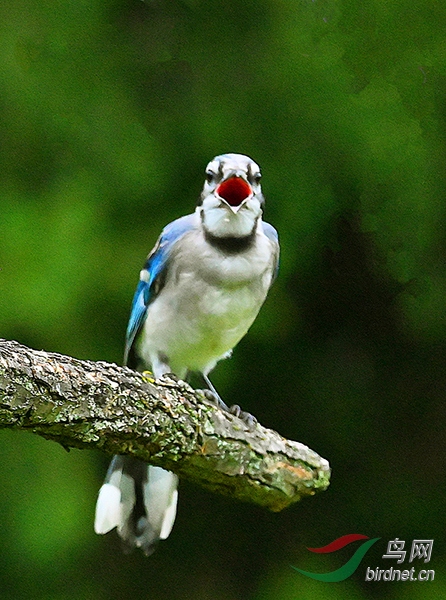 DSC_2400---.jpg