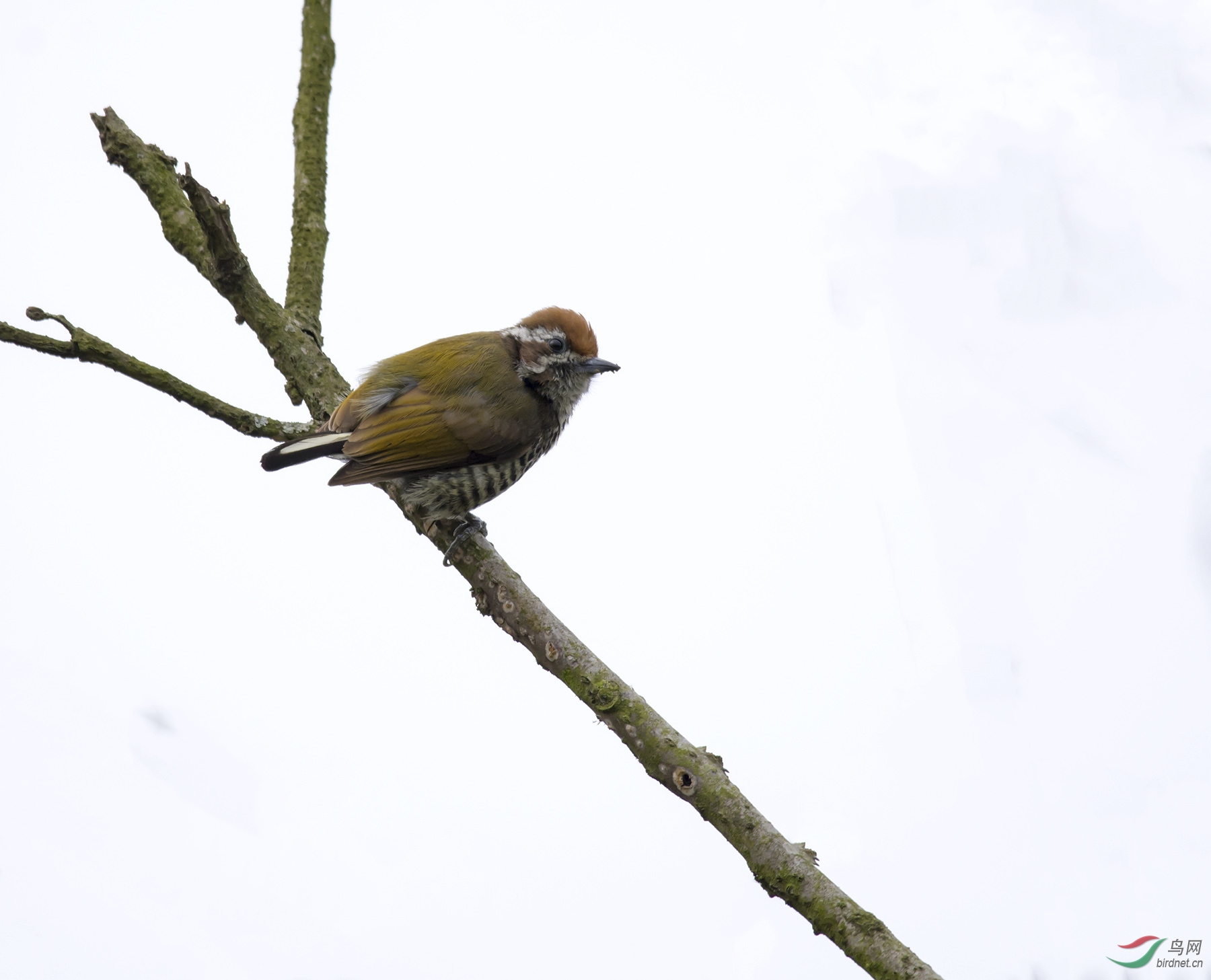 DSC_4373.jpg