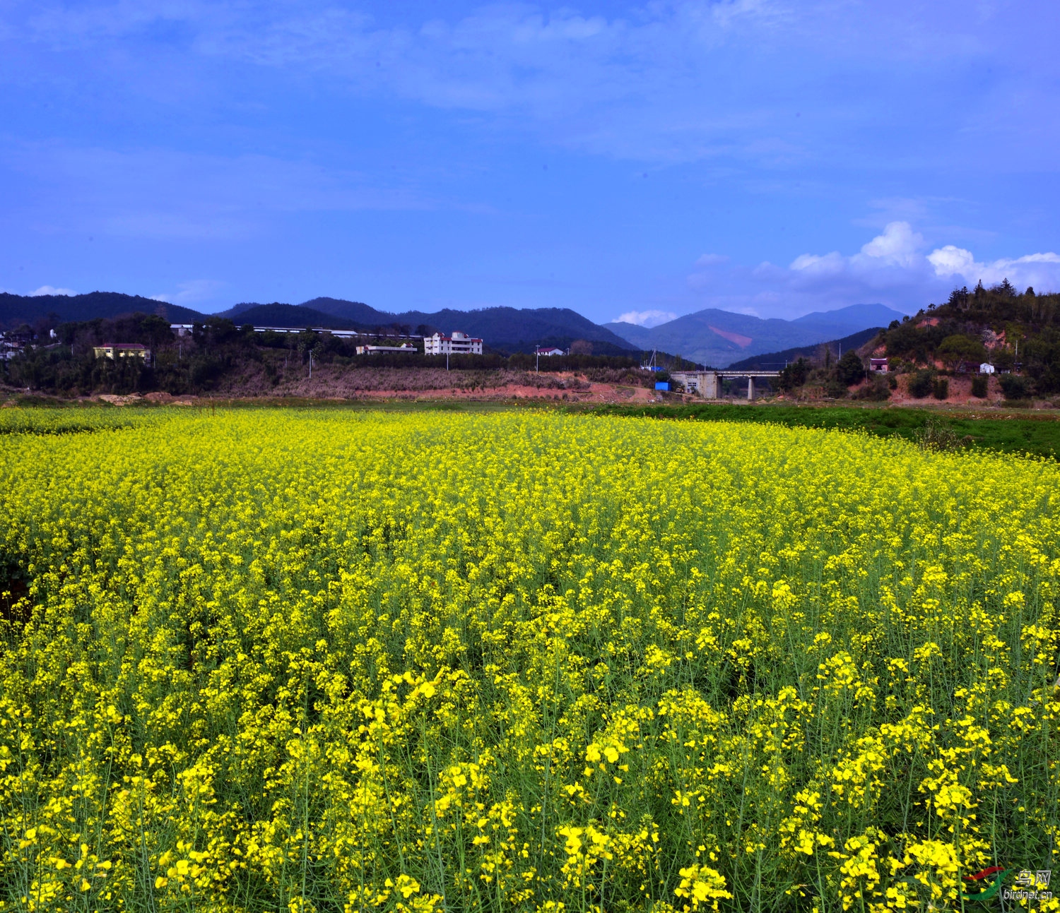 D8I_0509.jpg
