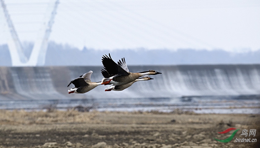 _DSC3877_00001_����.jpg