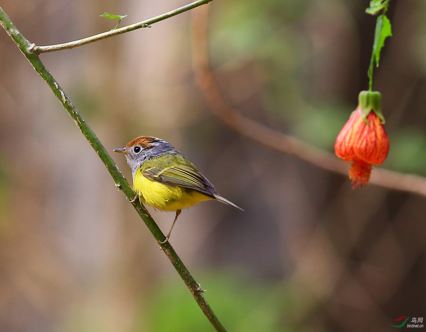 2020-01-23 09-30-34 (2).JPG