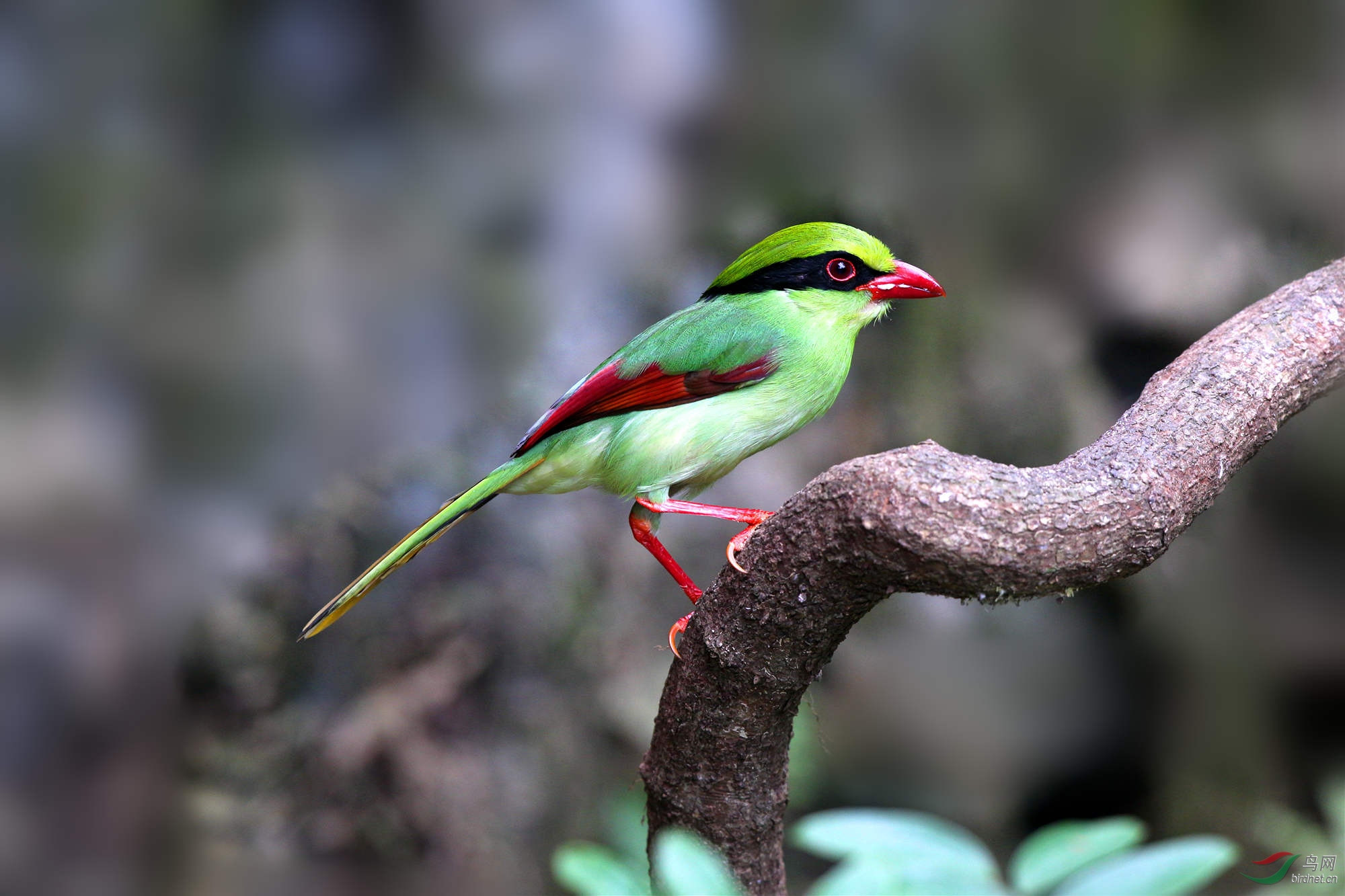 H46R7331_����_���� (2).jpg