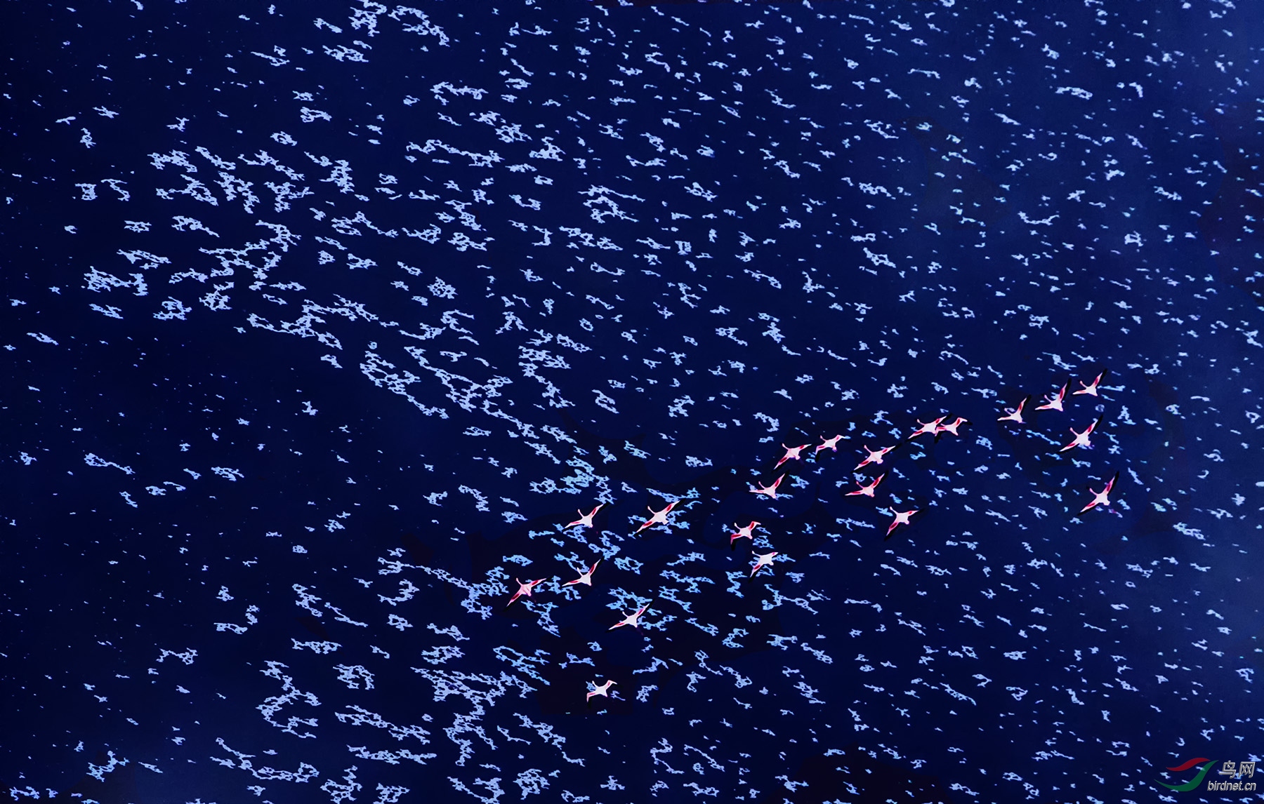 �κ��ɻ���̹ɣ��������������