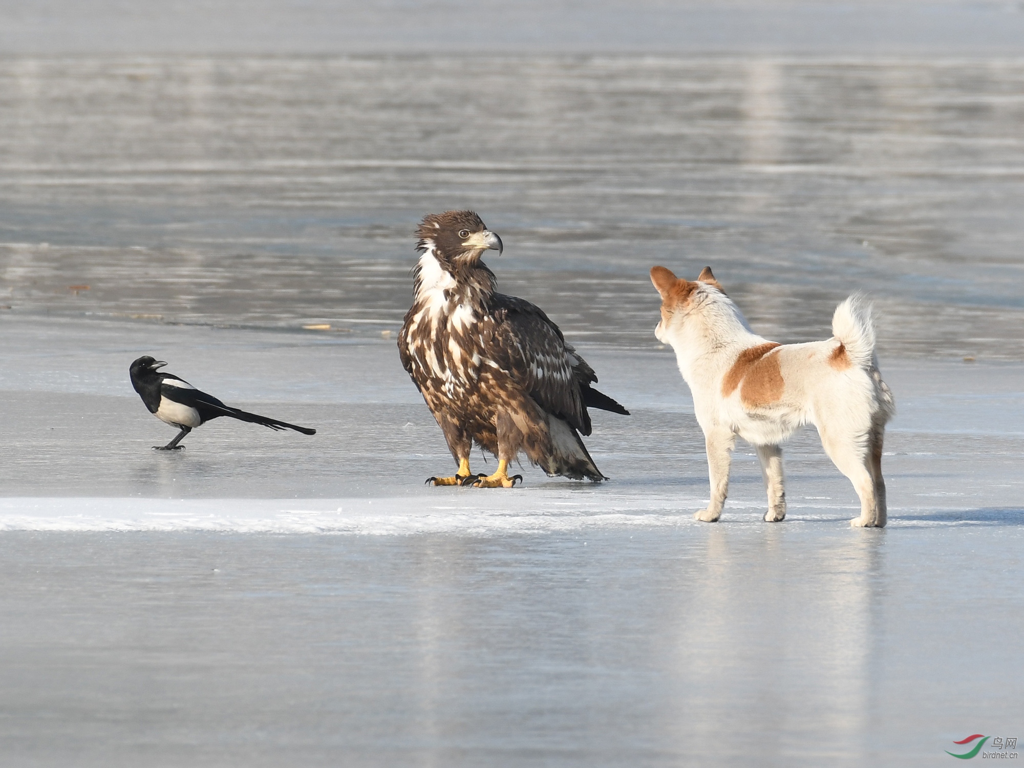 ������Ӱ 880����.jpg