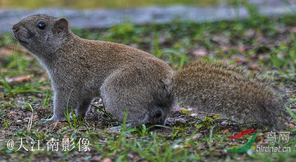 328��2��3�����ྵ