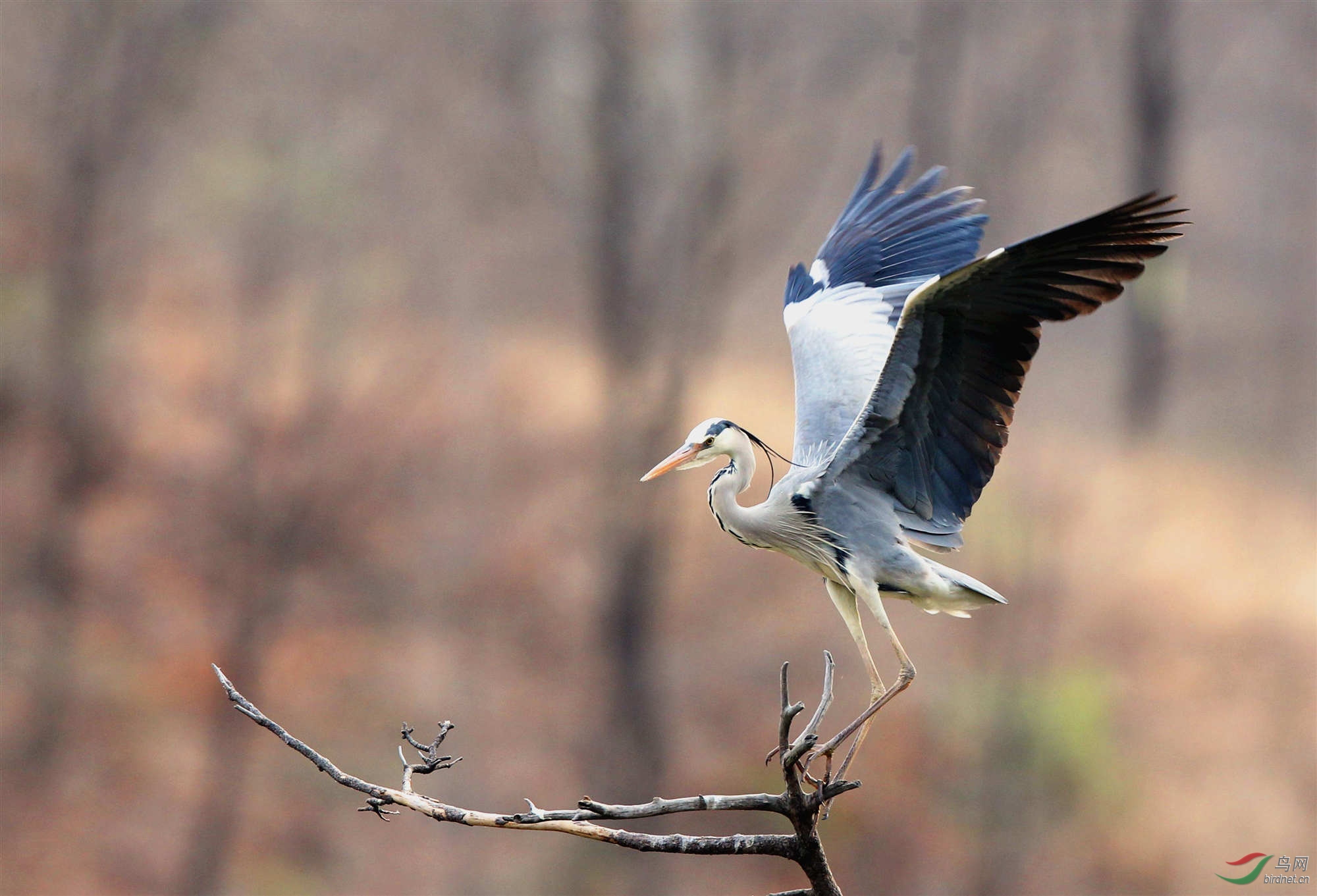 H46R7270_����_���� (2).jpg