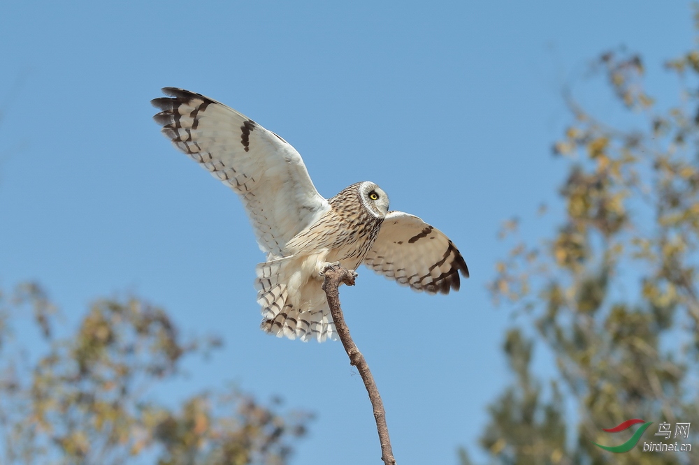 AV1I8596.jpg