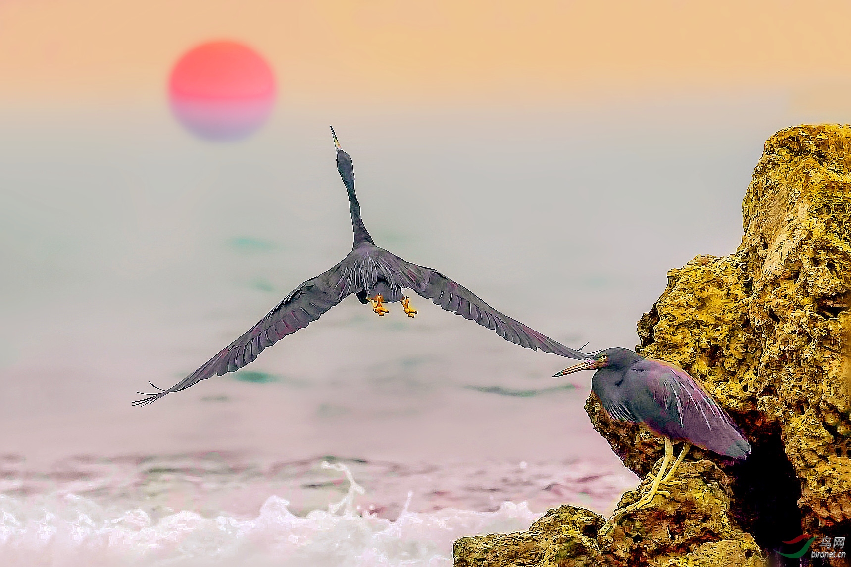 DSC_0888 (4)_����_����_����.jpg