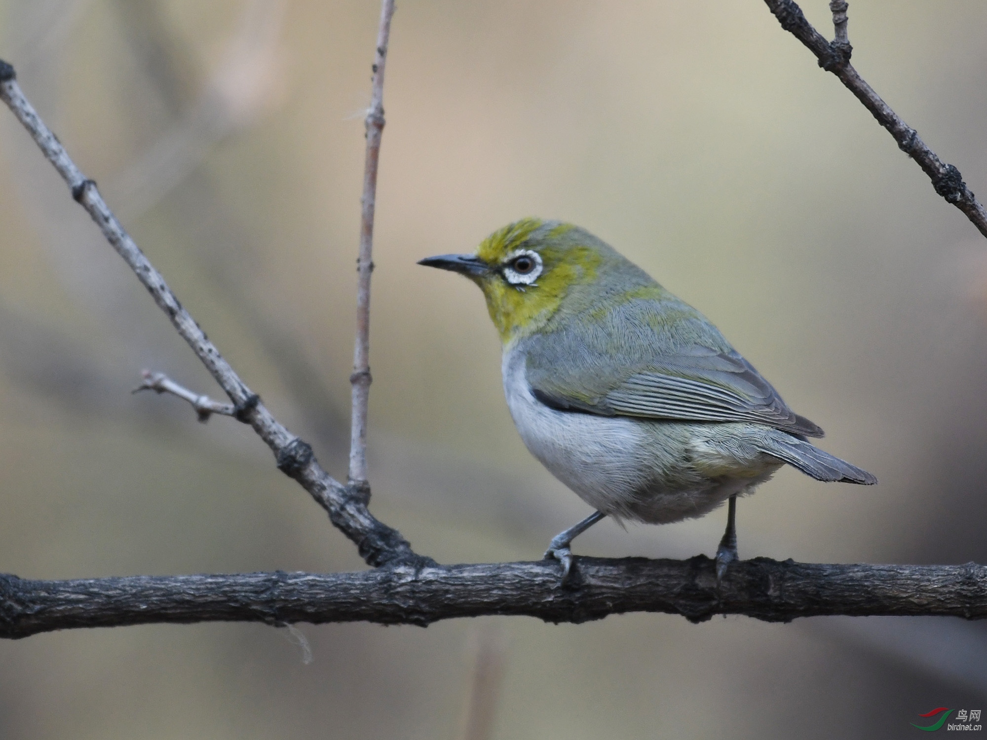 ������Ӱ 112����.jpg