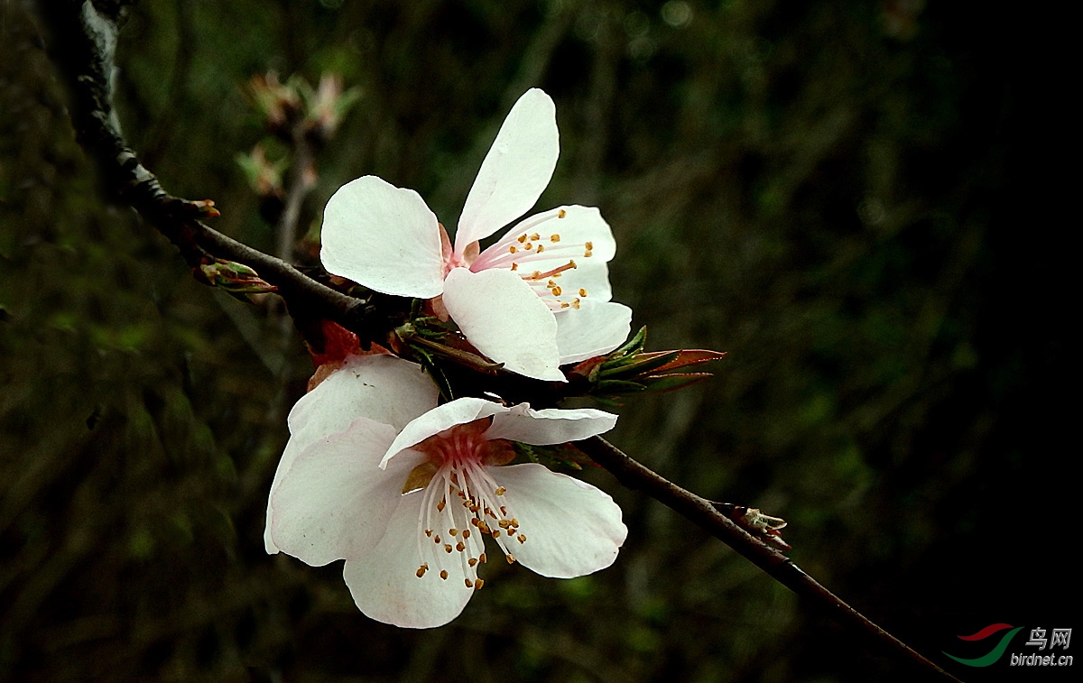 P3091454.jpg