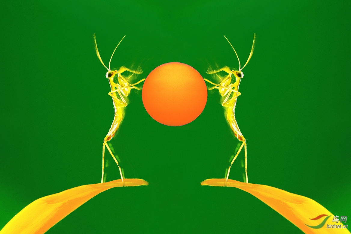 10.�ʵ�c - ����.jpg