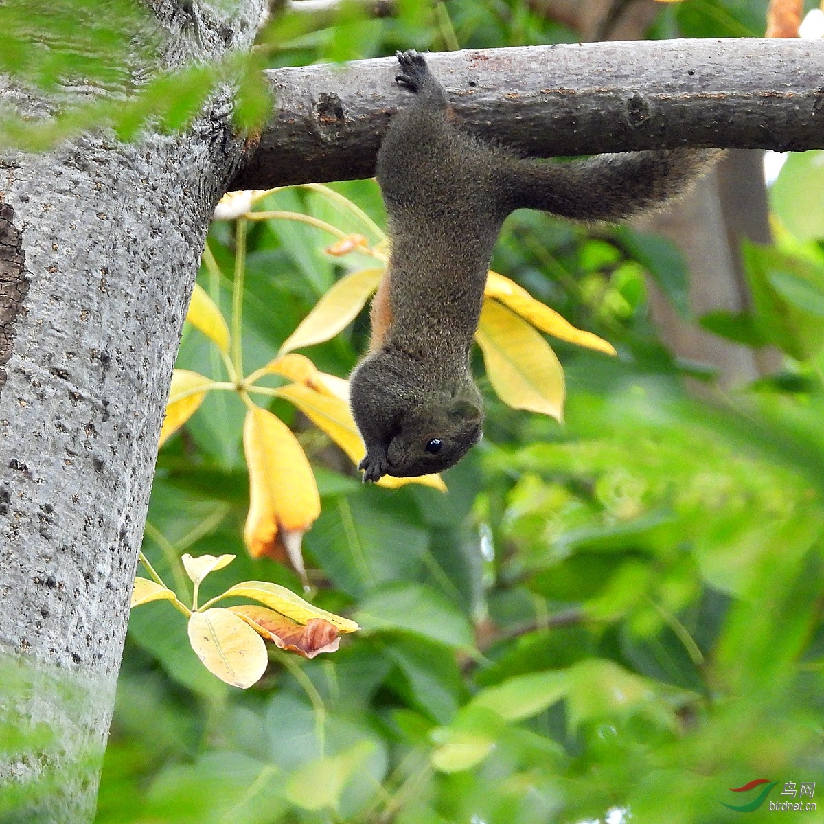 �츹���� ���ҽ��� 5K.jpg