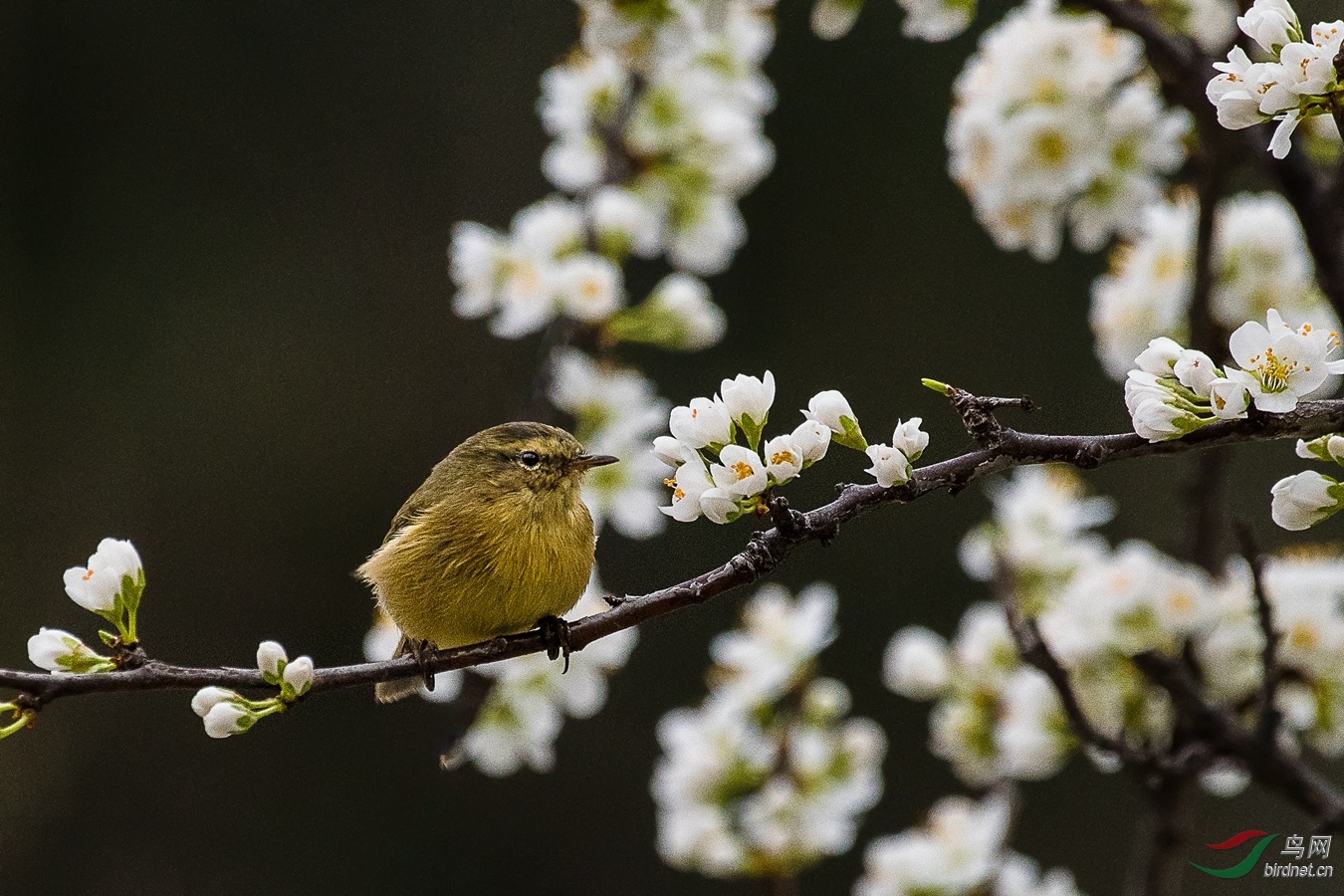 XC5_7441 - ����.jpg