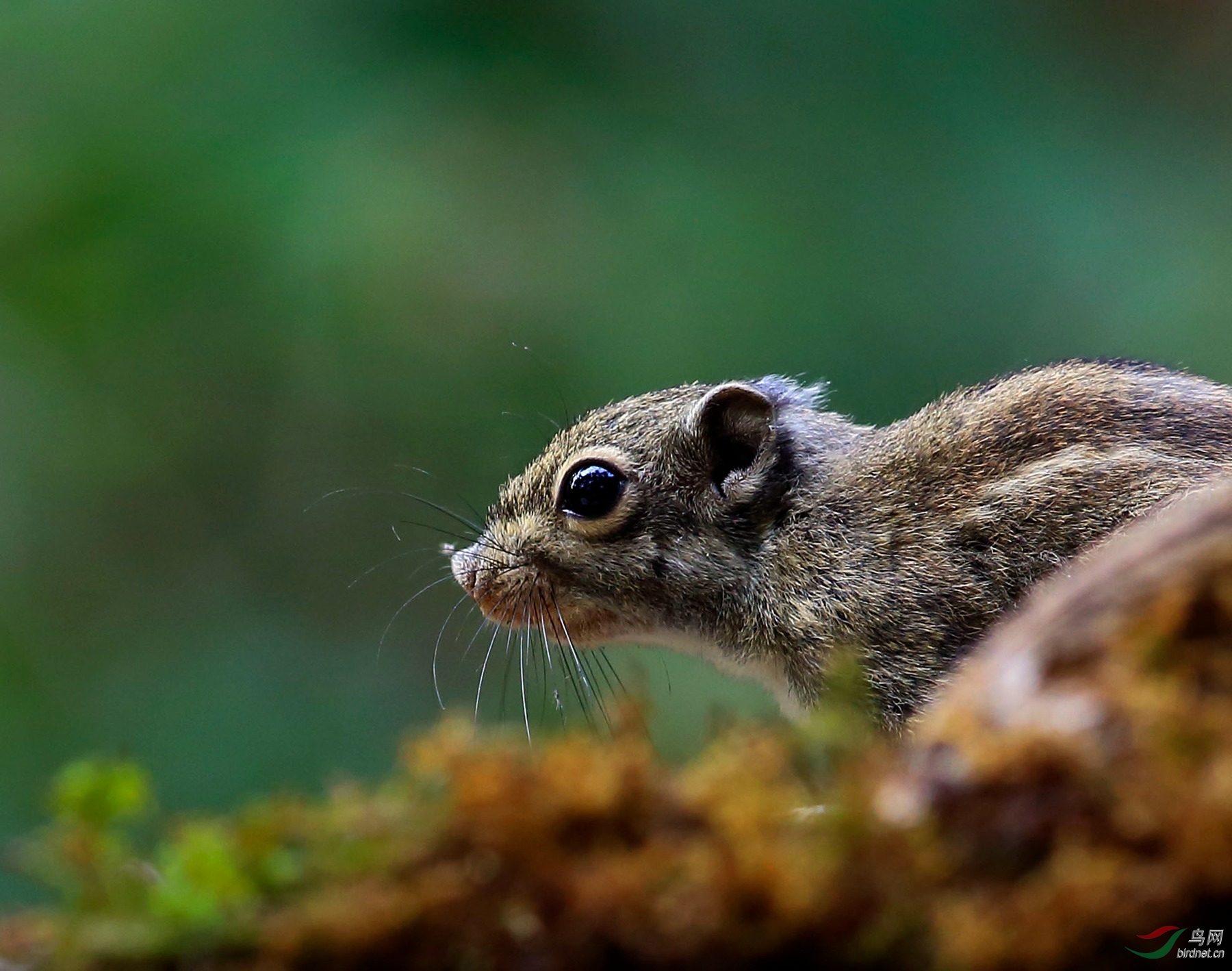 2019-11-26 09-58-59.JPG