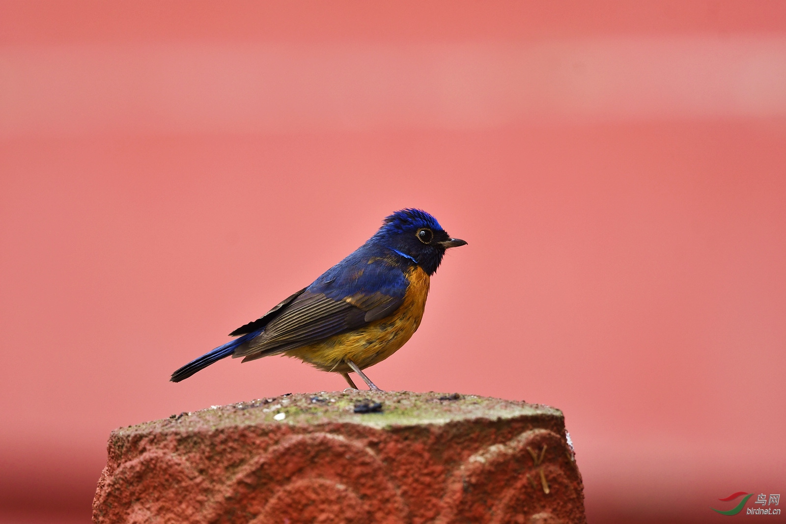 DSC_6193.JPG