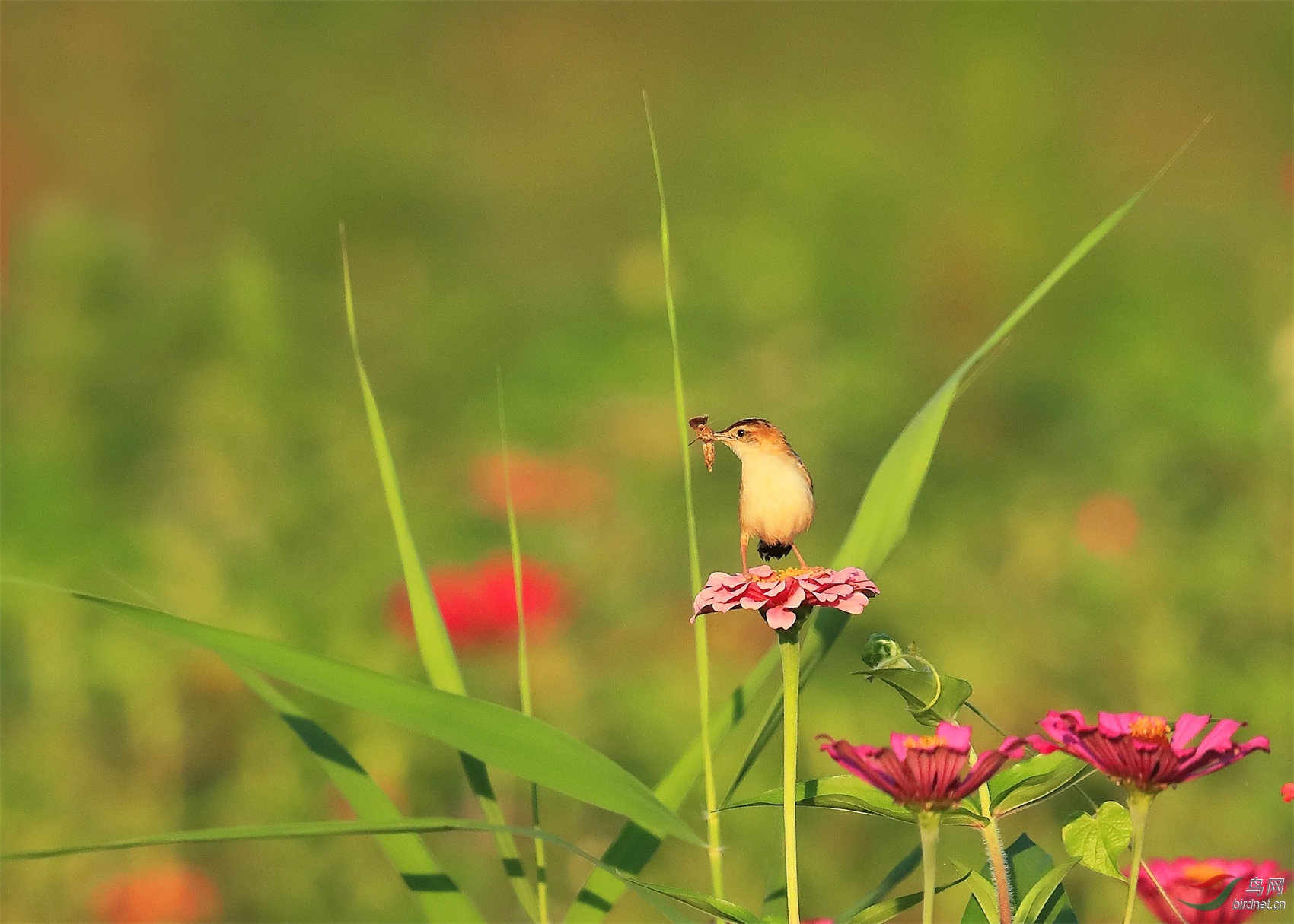 2 - ����.JPG