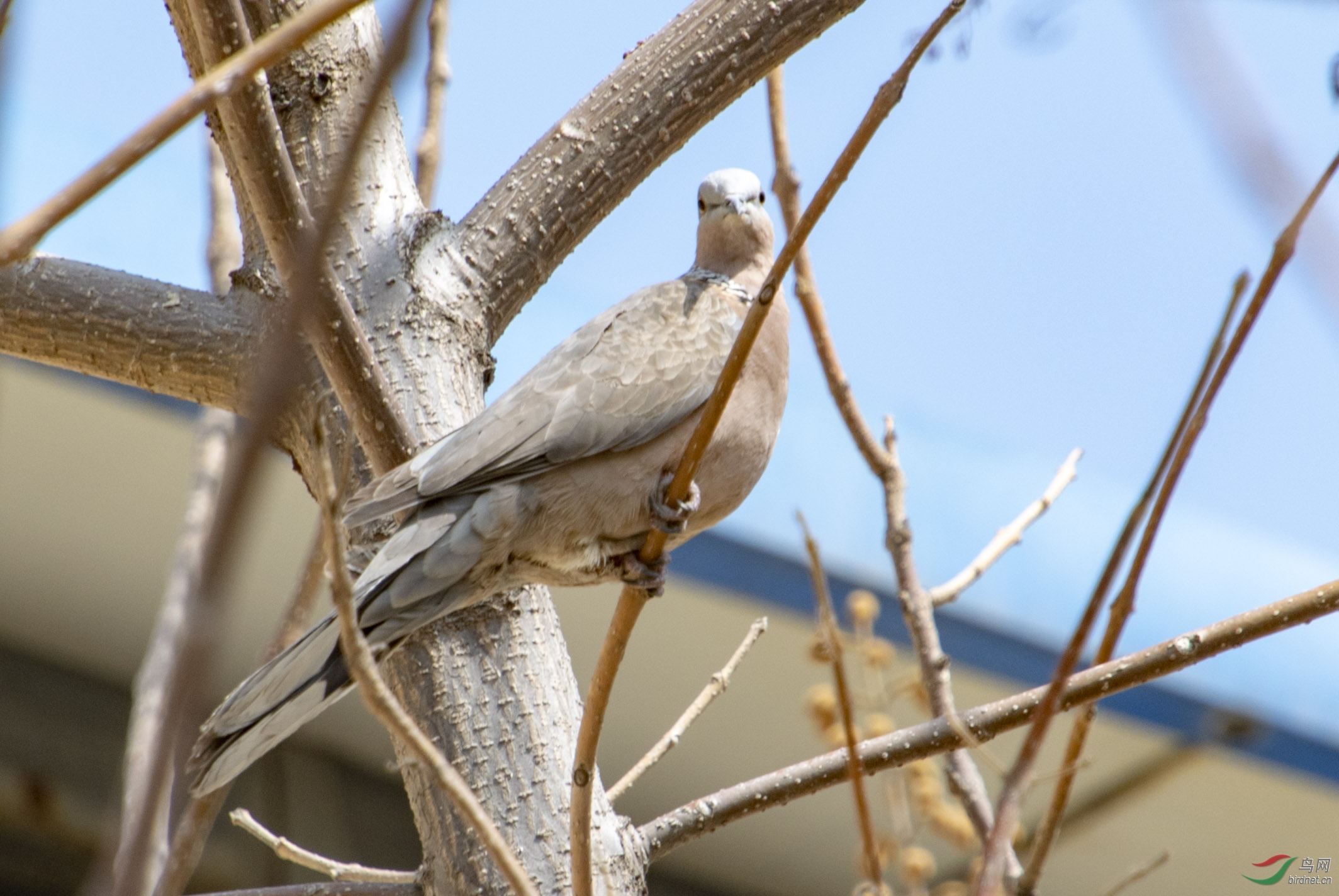 D50_7406.jpg