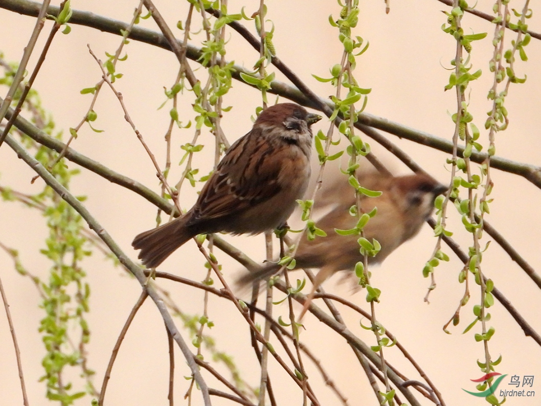 DSCN2959.jpg