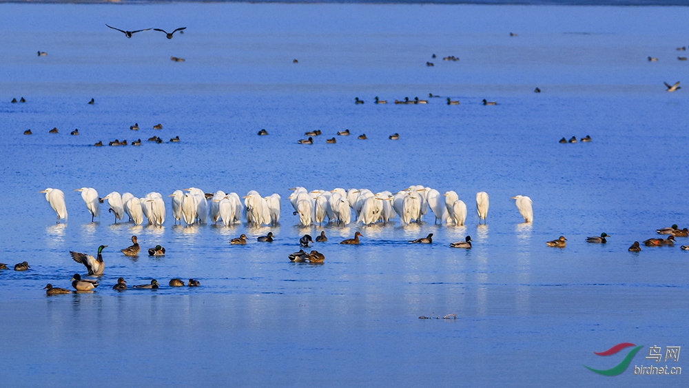 ��Ҵ�й���ʪ�ر�����