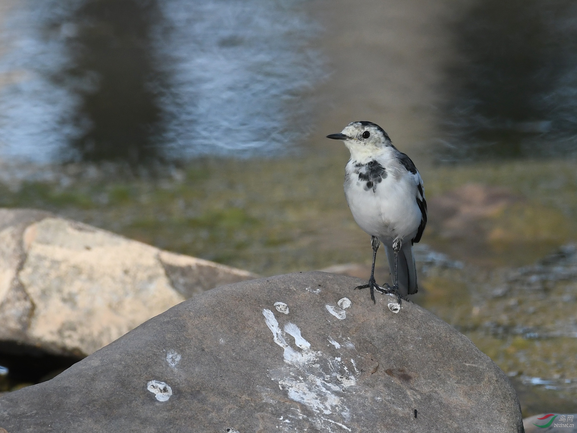 ������Ӱ 155����.jpg