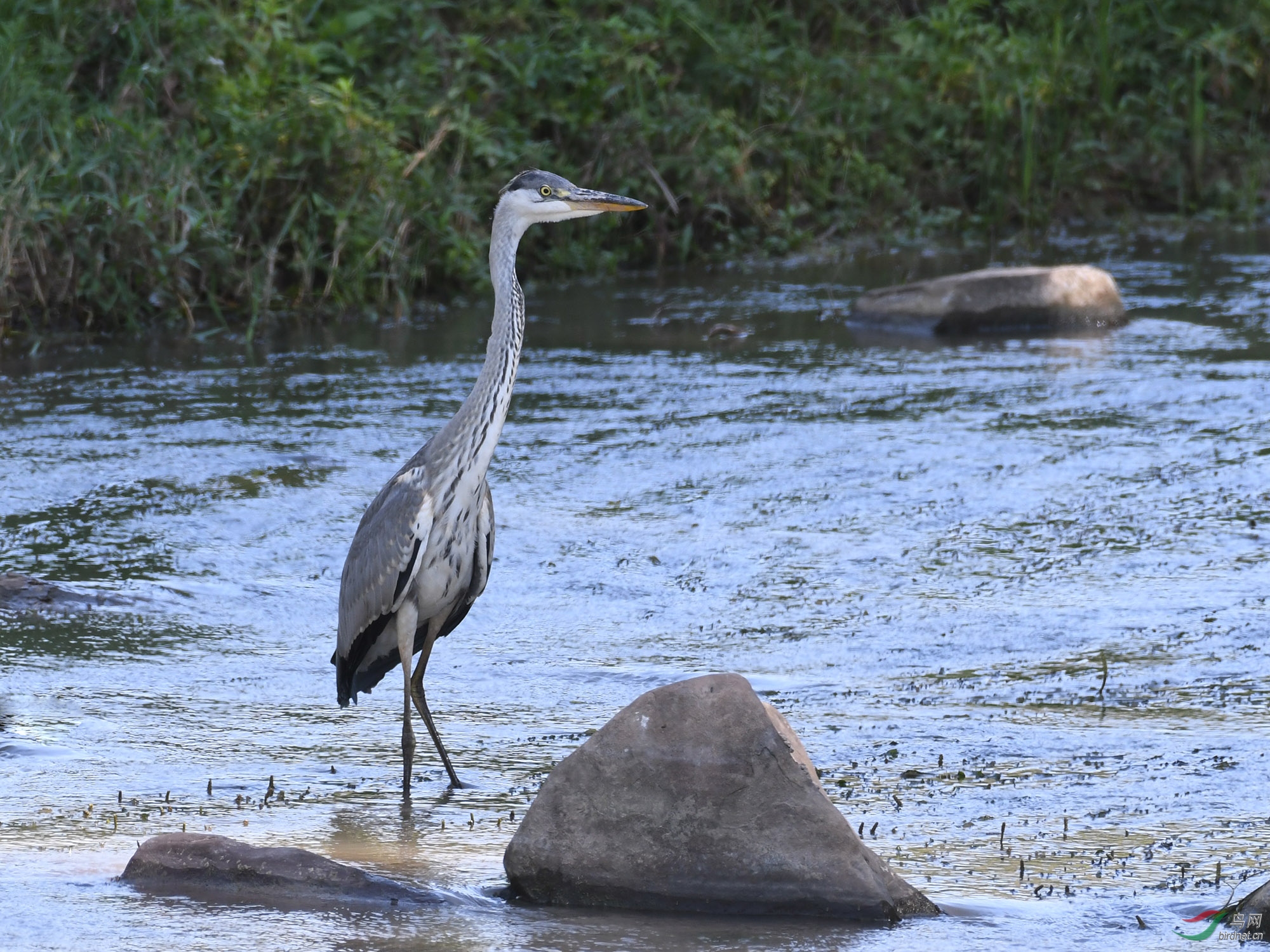 ������Ӱ 576����.jpg