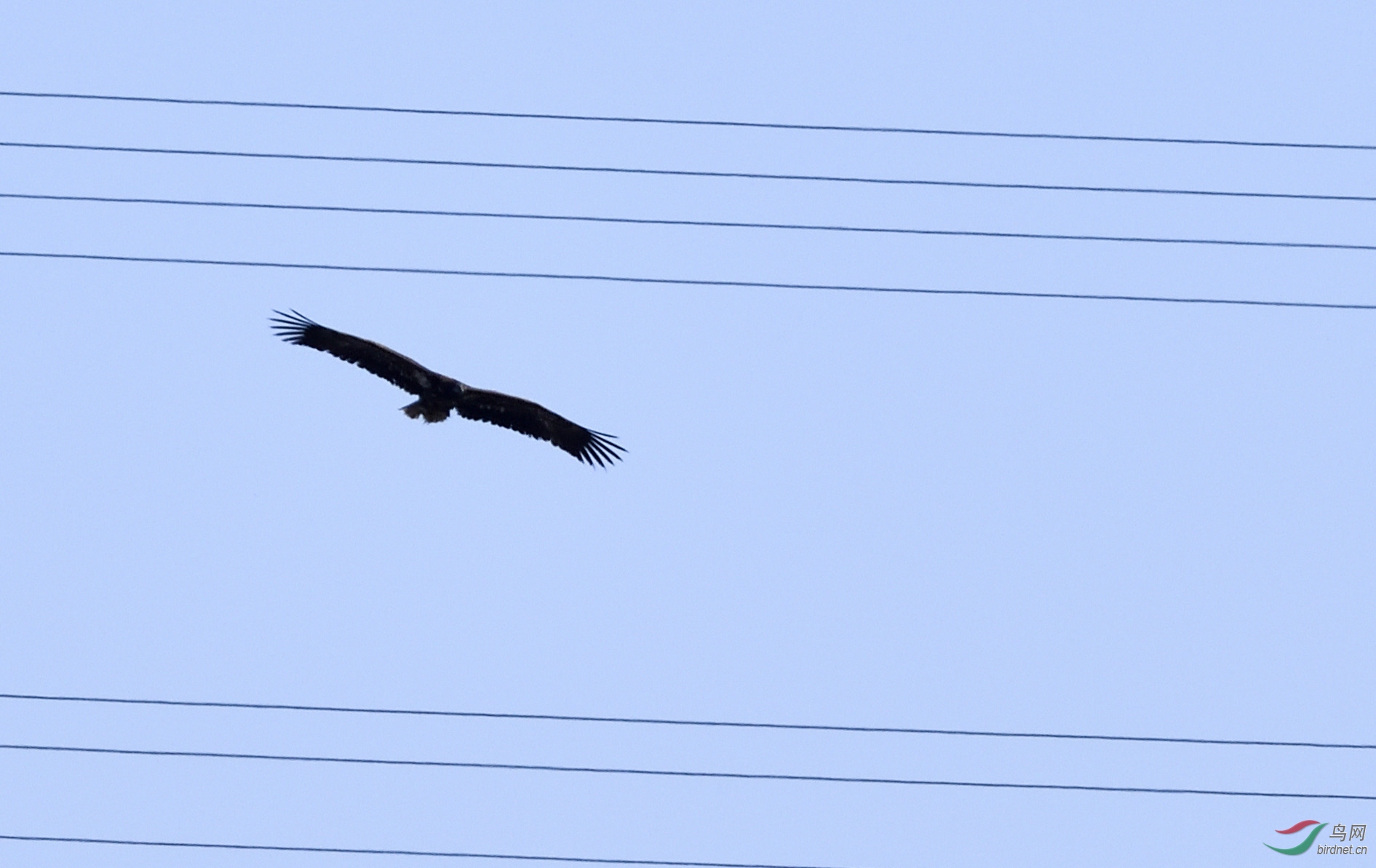 _DSC4635_00001_00001.jpg